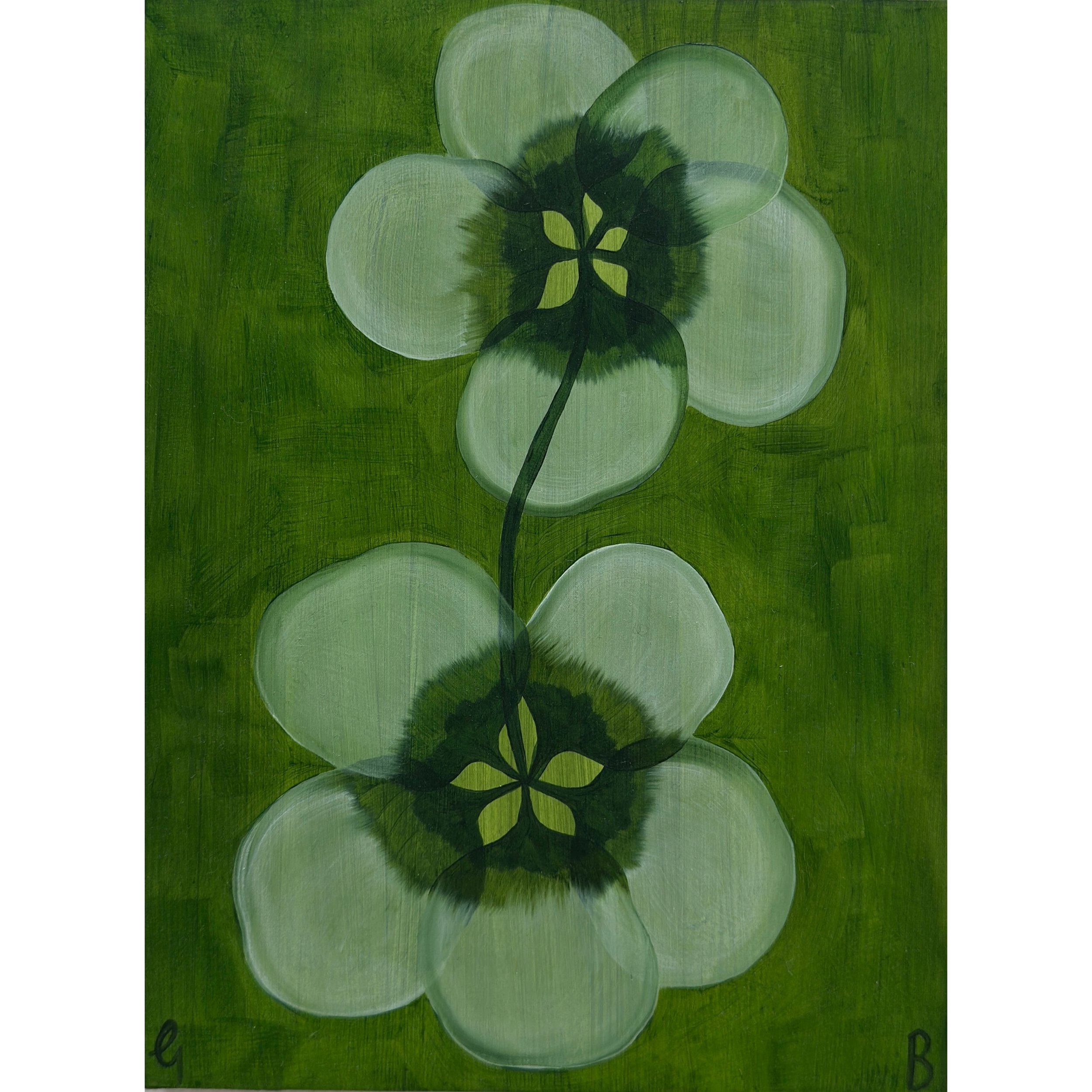 Georgia Beaumont - Buttercup