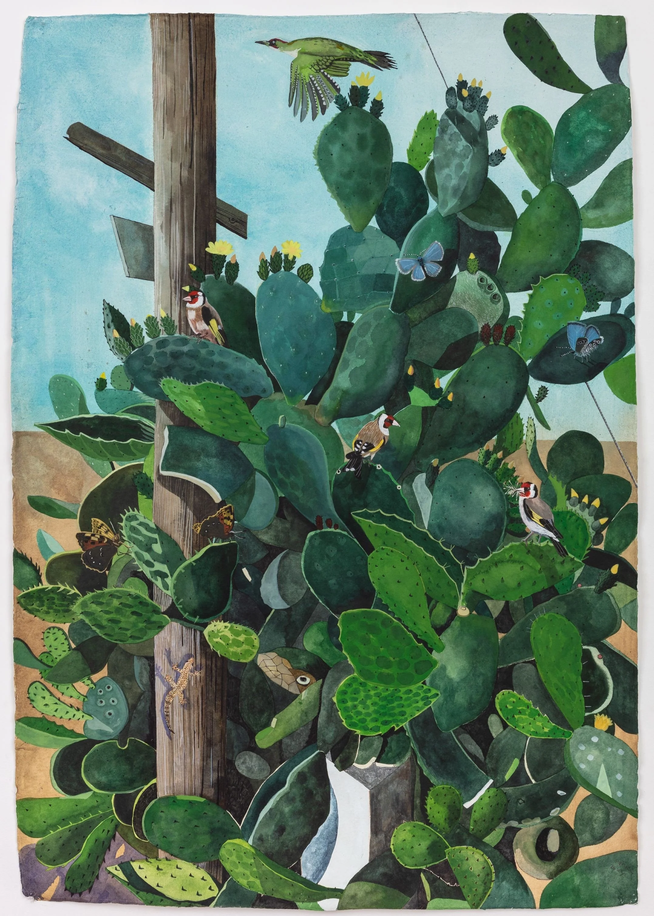 Sophie Charalambous 
Prickly Pear on the Hill  2026  
Watercolour and Gouache on Khadi Paper  
100x140cm  
£ 9875
