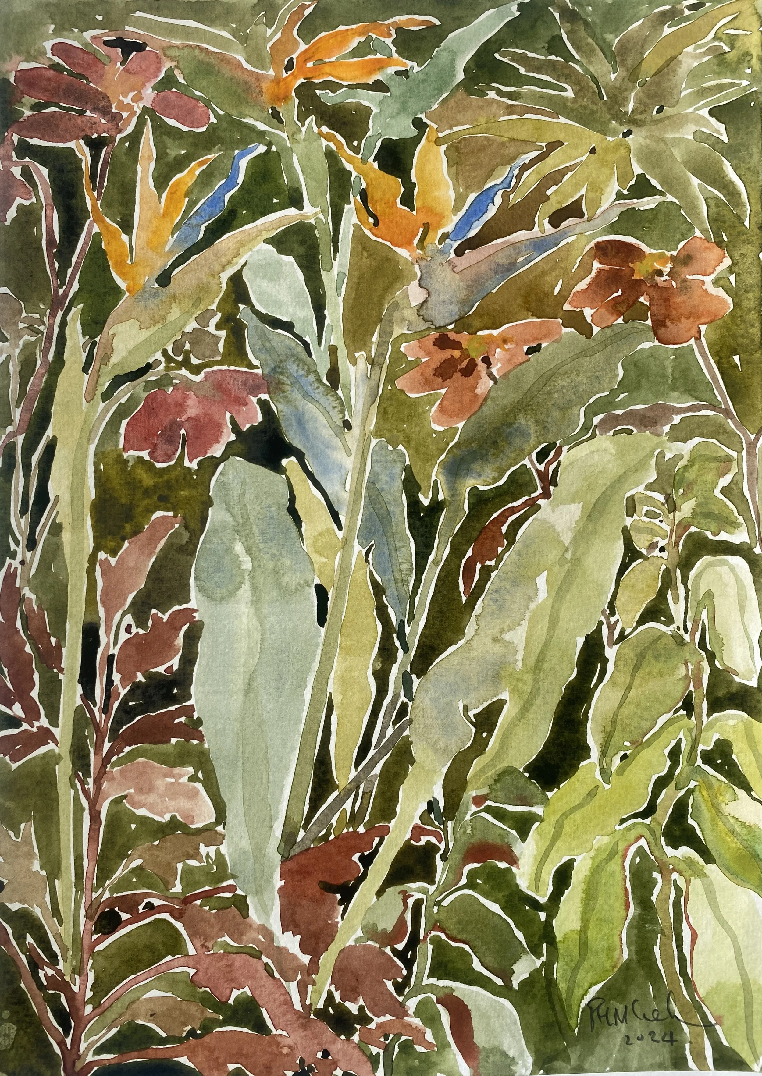 Birds of Paradise, Bodnant, 2024, watercolour, 31 x 24cm, £680.jpg