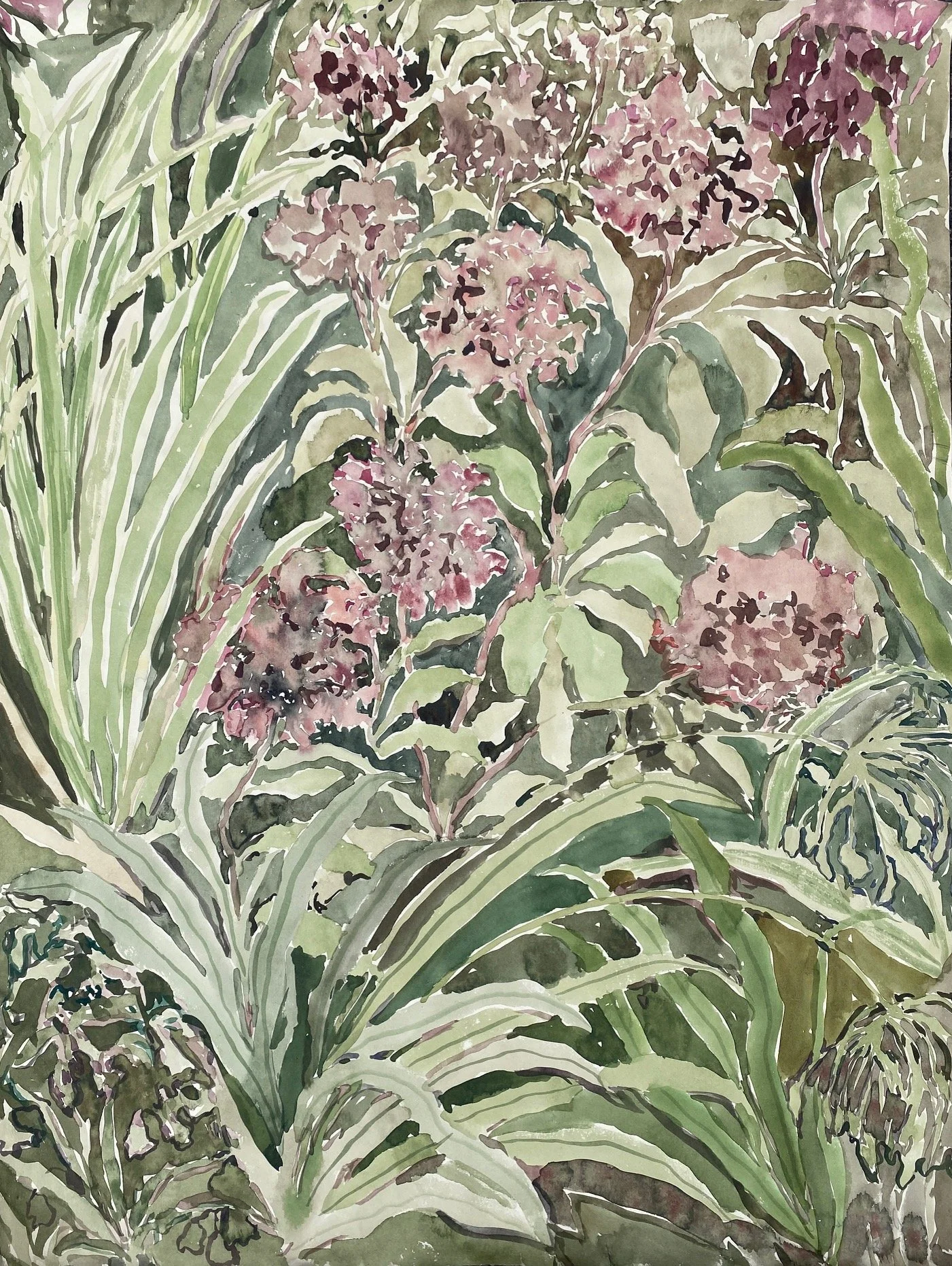 Beatrice Hasell-McCosh 
Hydrangea 
2022 
watercolour on paper 
56 x 76 cm 
£1900 framed
