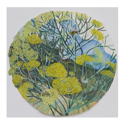 Sophie Charalambous - Small Wild Fennel Spool