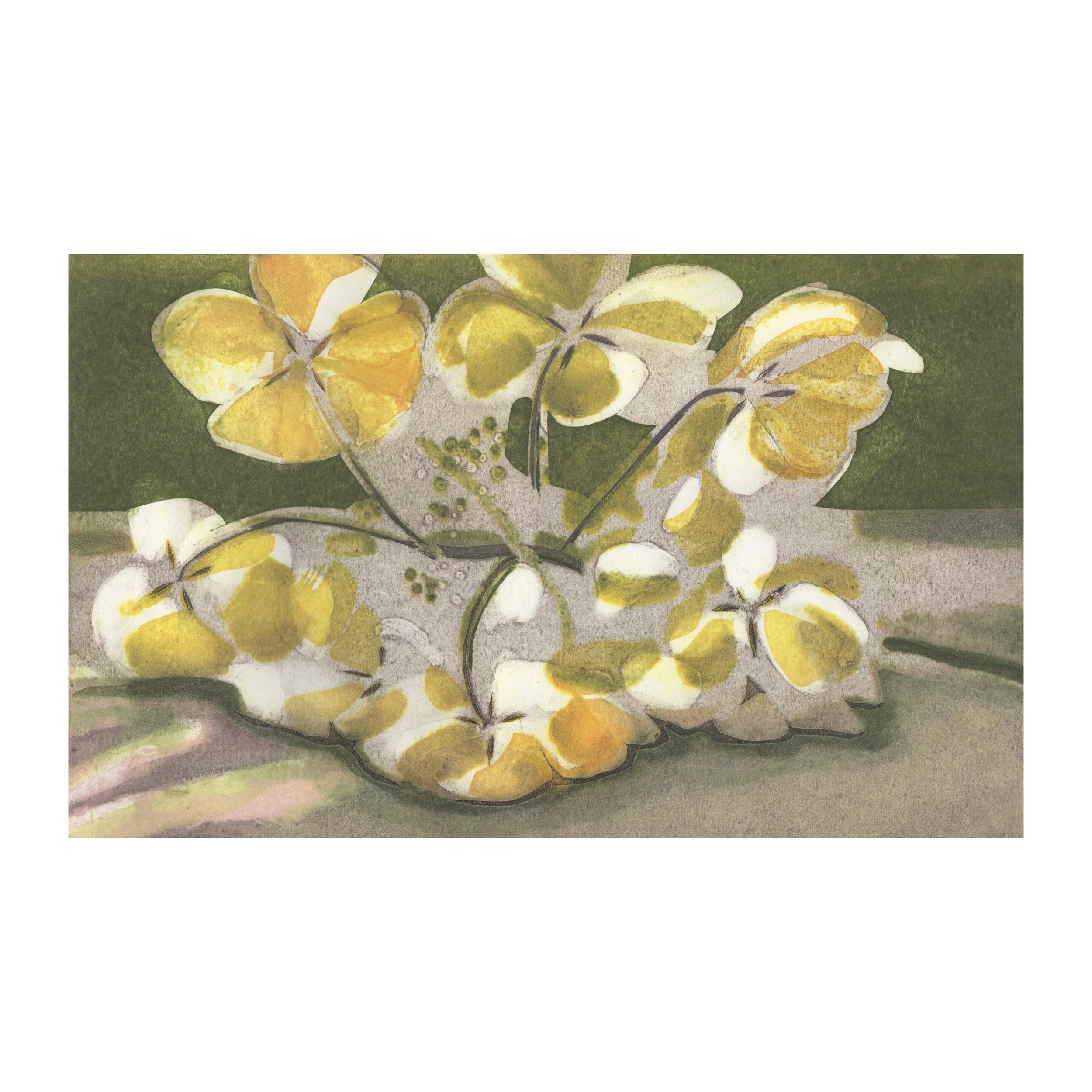 Involucrata (Late Love), ed.15
collagraph on paper 
image size 25.2 x 41.7cm, 
paper size 41 x 58cm
£685.00 unframed £835.00