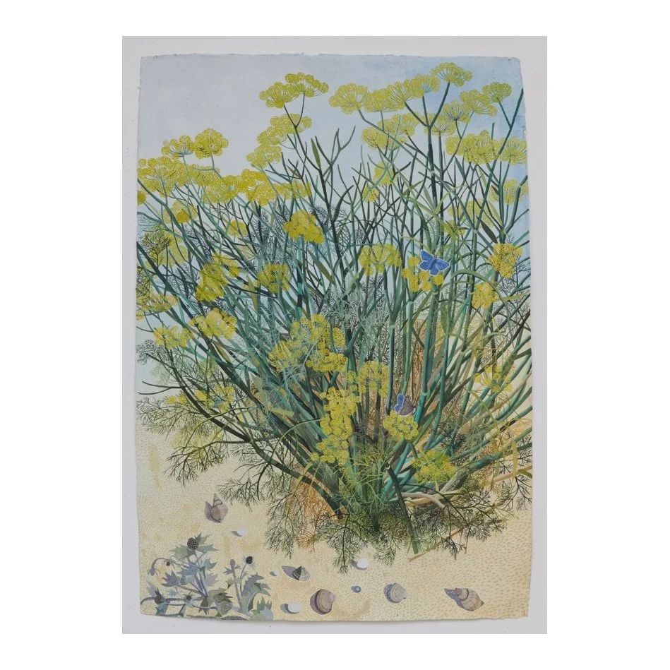 Sophie Charalambous - Wild Fennel, Pegwell Bay II