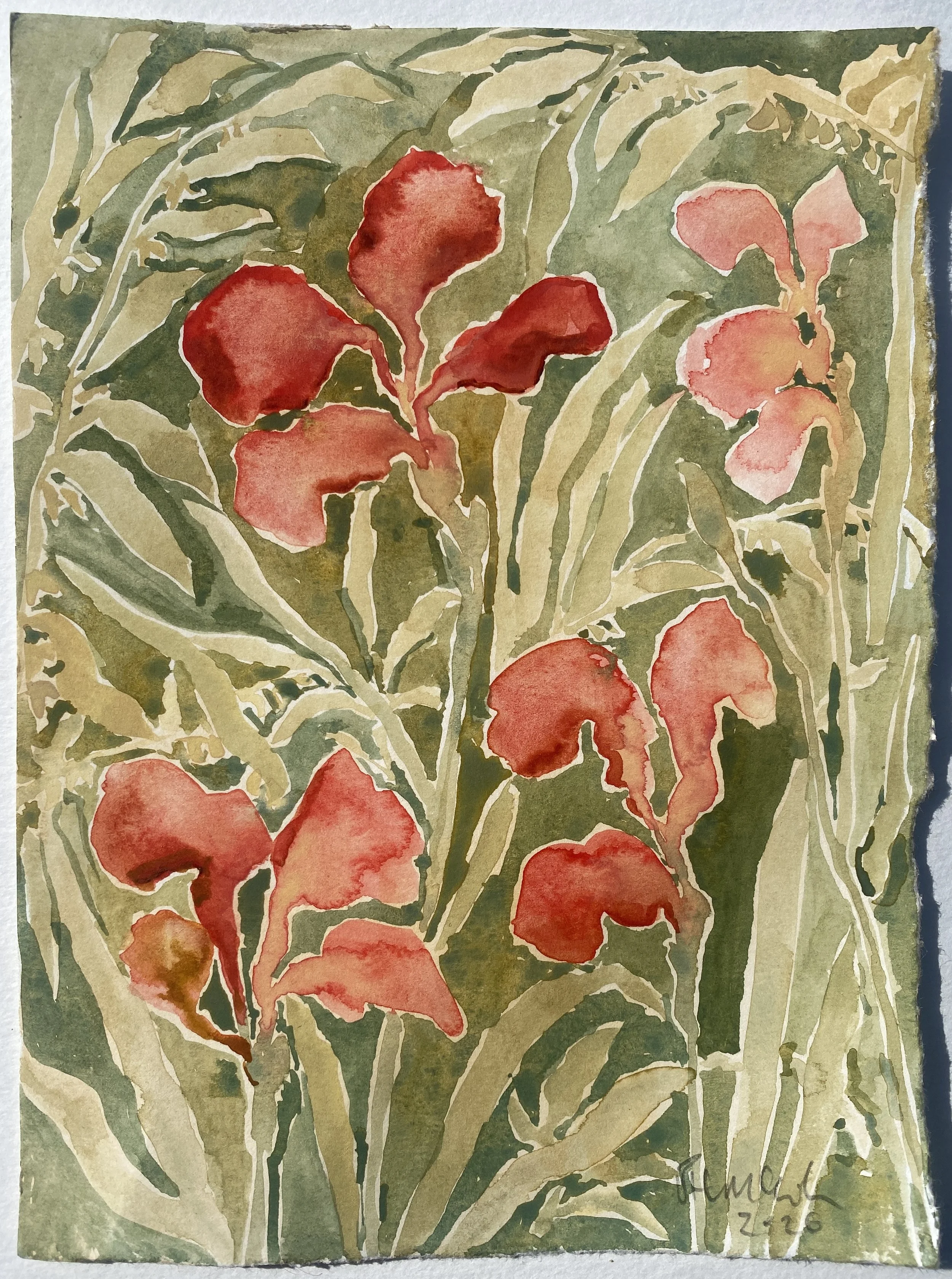 Red Iris, 2026, watercolour on paper, 15 x 20cm, £500.jpg