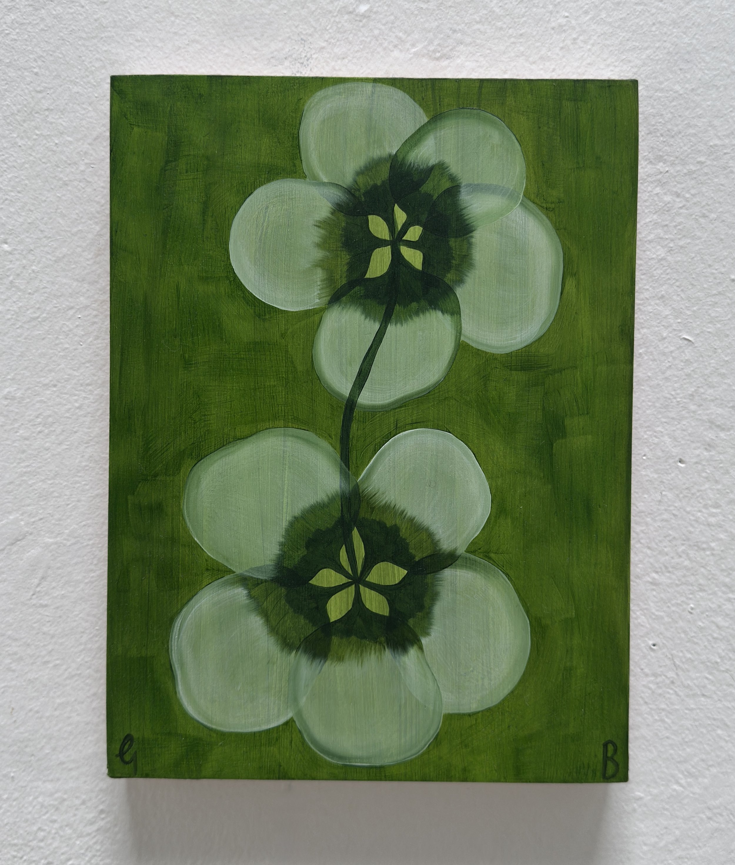 Buttercup_2026 copy.jpg