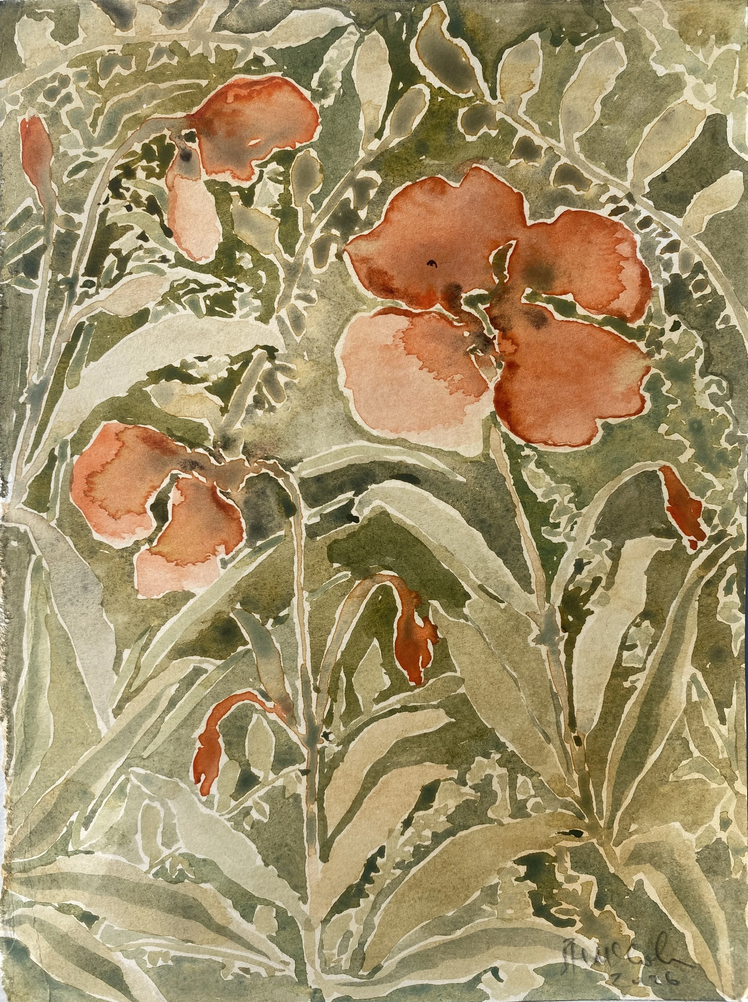 Poppy, 2026, watercolour on paper, 15 x 20cm, £500, unframed.jpg