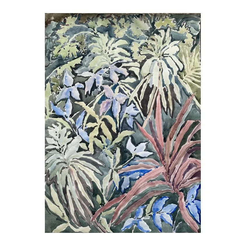 Beatrice Hasell-McCosh - Euphorbia