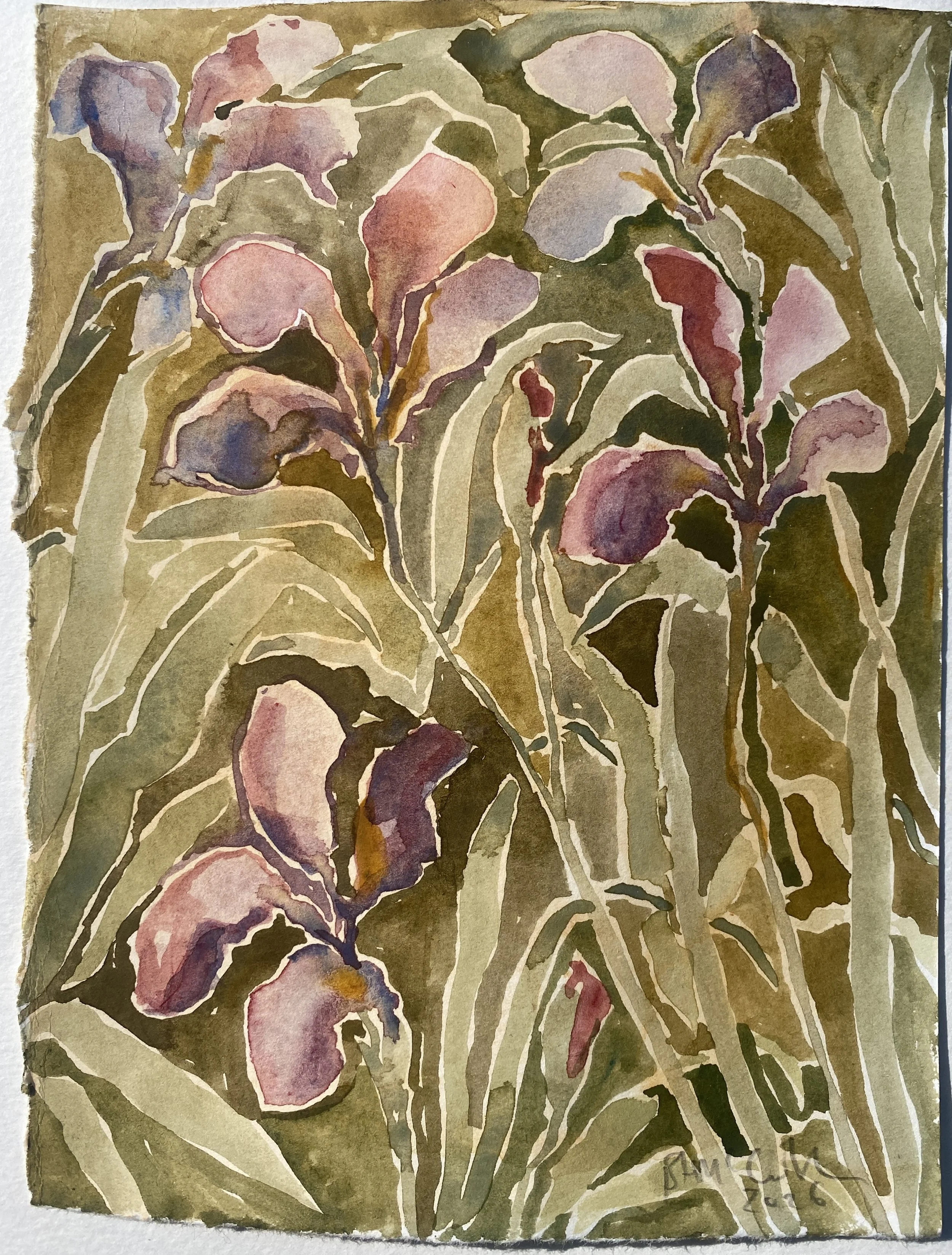 Purple Iris, 2026, watercolour on paper, 15 x 20cm, £500, unframed.jpg