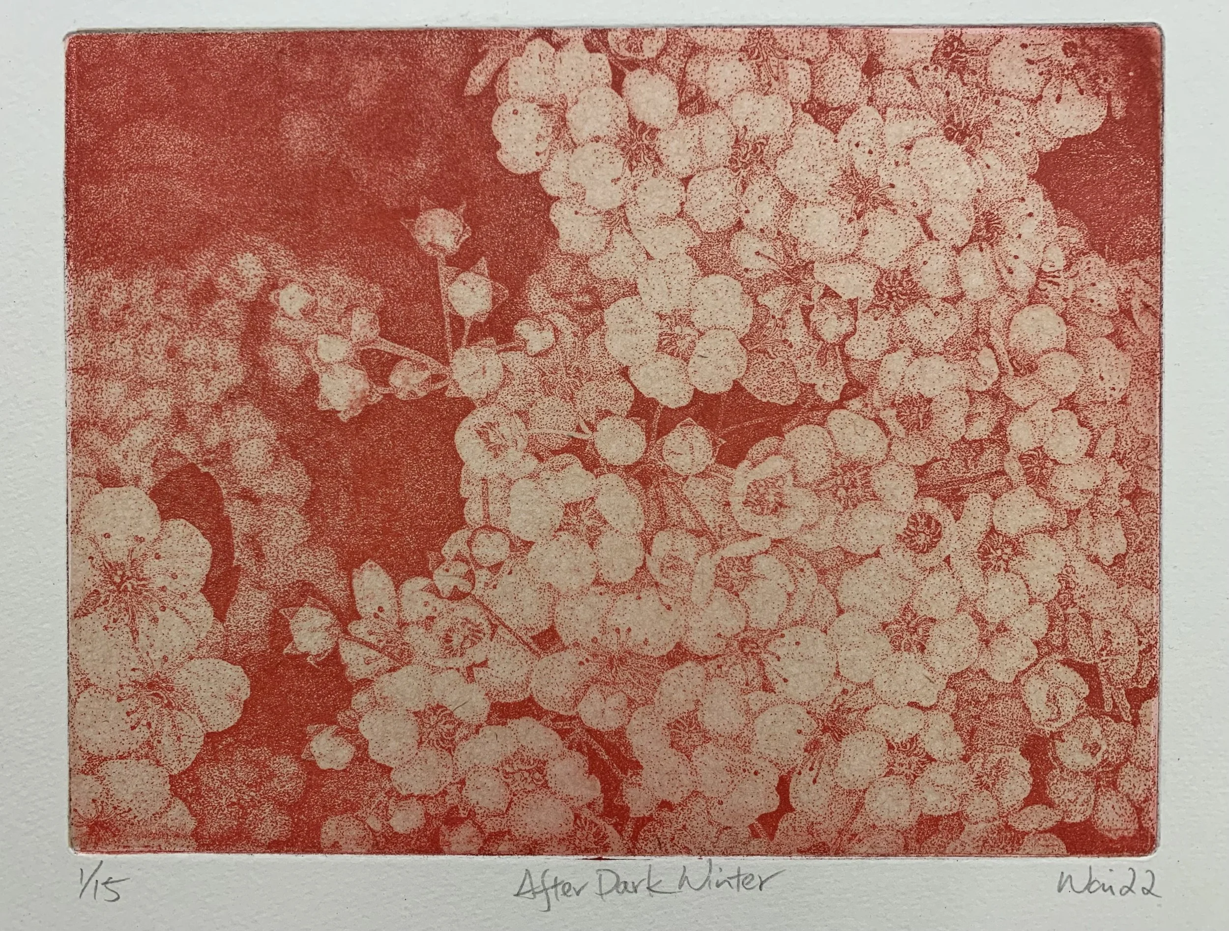 Wai Wong 
After Dark Winter 
Etching  
14.5 x 19.5 cm  
Edition 15 
£ 250 framed 
£ 150 unframed