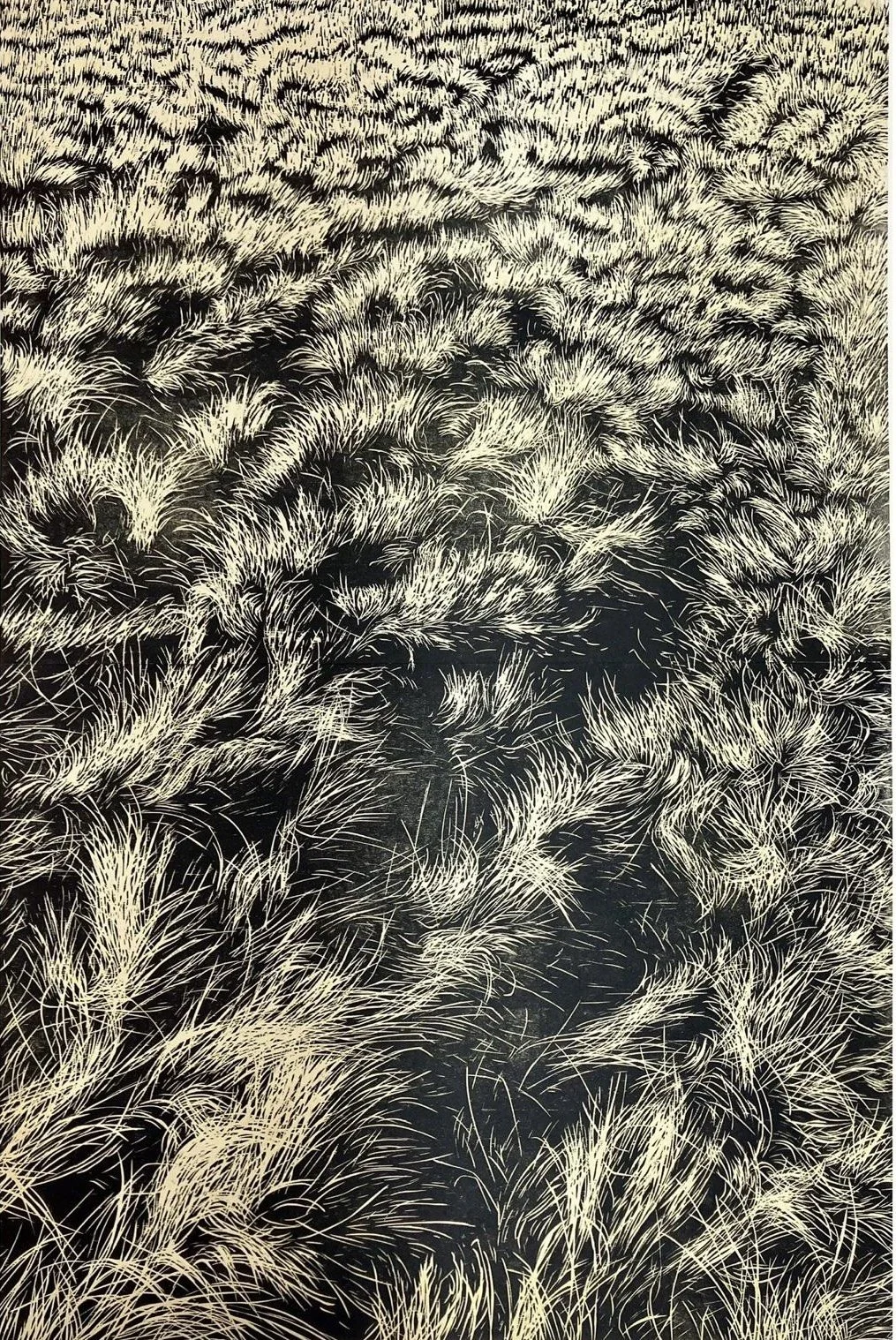 
Heath

Two Piece woodcut on prepared Japanese paper 
Image size 60cm x 90cm  
paper size 63cm x 93cm
Variable edition of 15             
£ 875 unframed