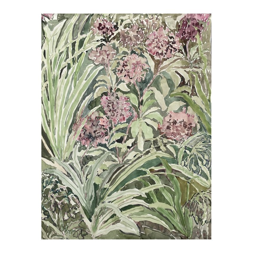 Beatrice Hasell-McCosh - Hydrangea