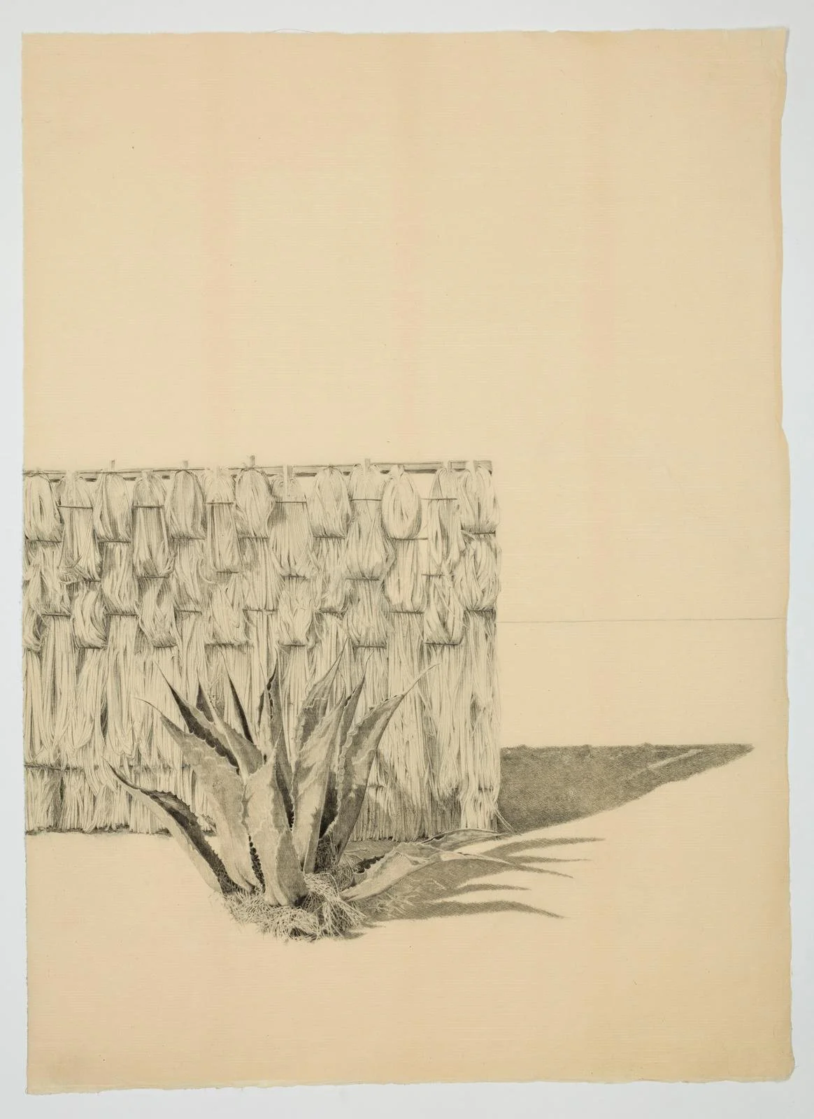 16. Felicity Warbrick   
Palm Fence,  Monotype drawing on Japanese paper 2026 65cm x 47cm 
(Unique) 
£ 1,350 Framed