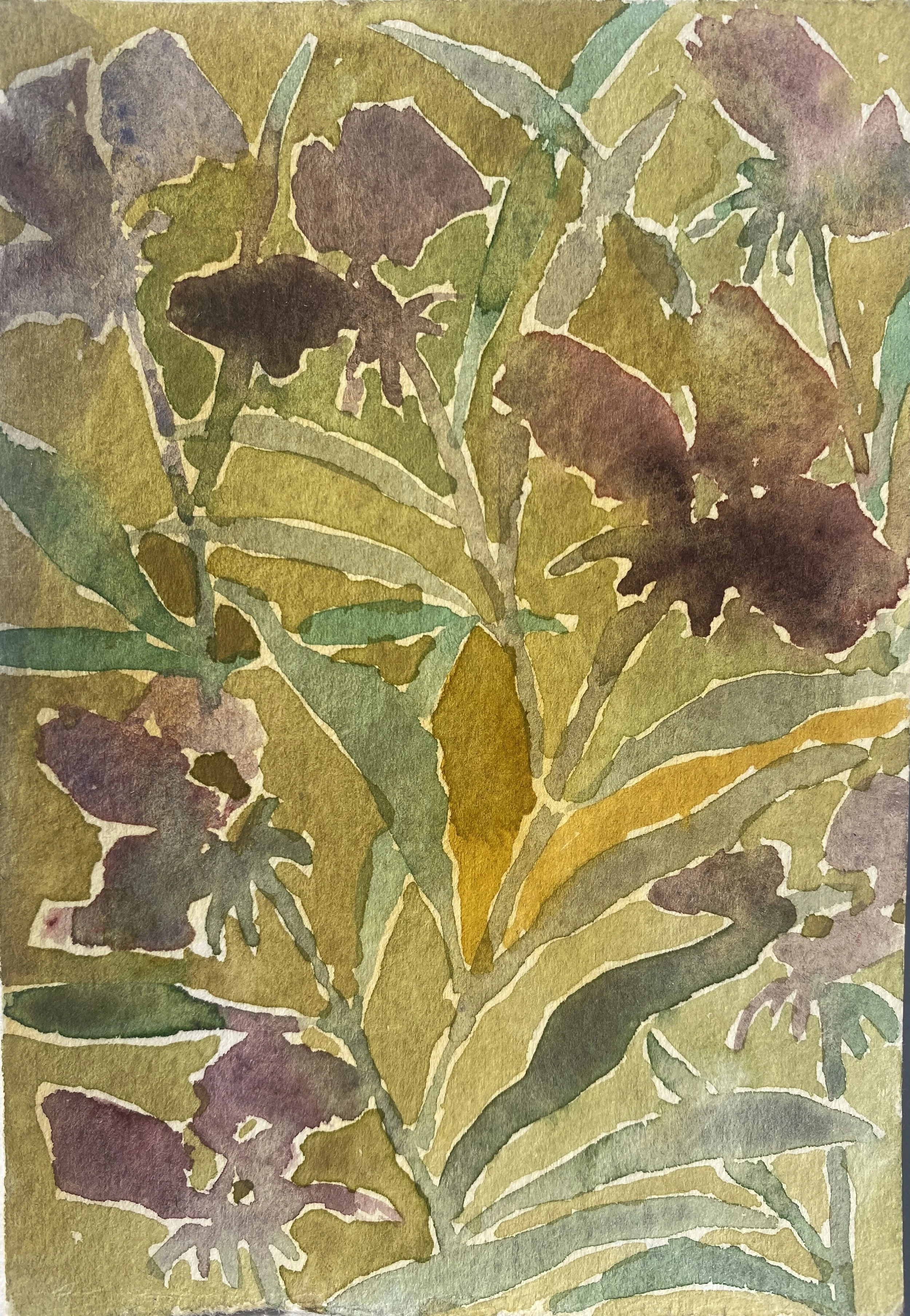 Sweatpea, 2025, watercolour on paper, 8.5 x12cm, £190.jpg