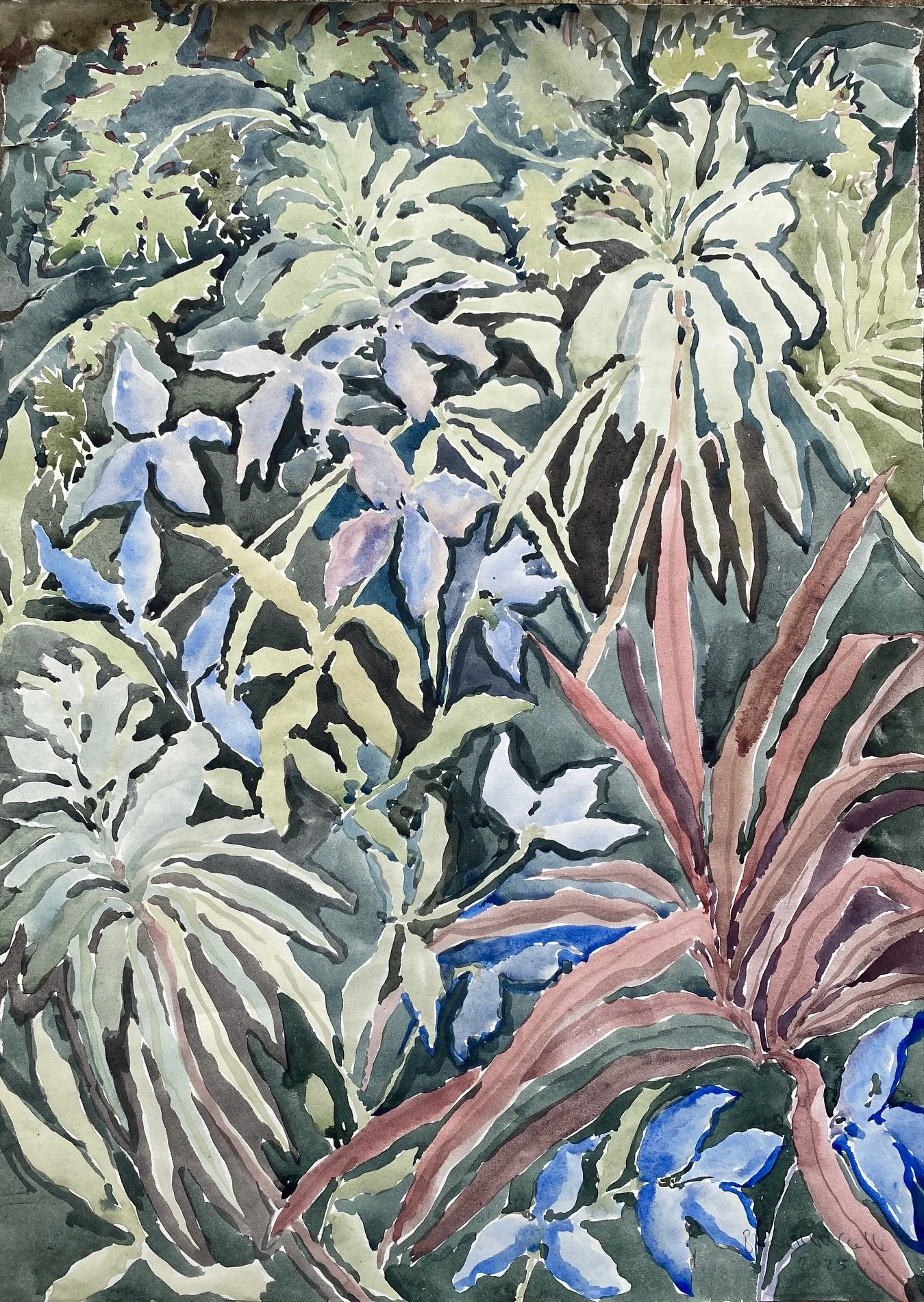 Beatrice Hasell-McCosh 
Euphorbia 
2026 
watercolour on paper 
56 x40cm 
£1750 framed
