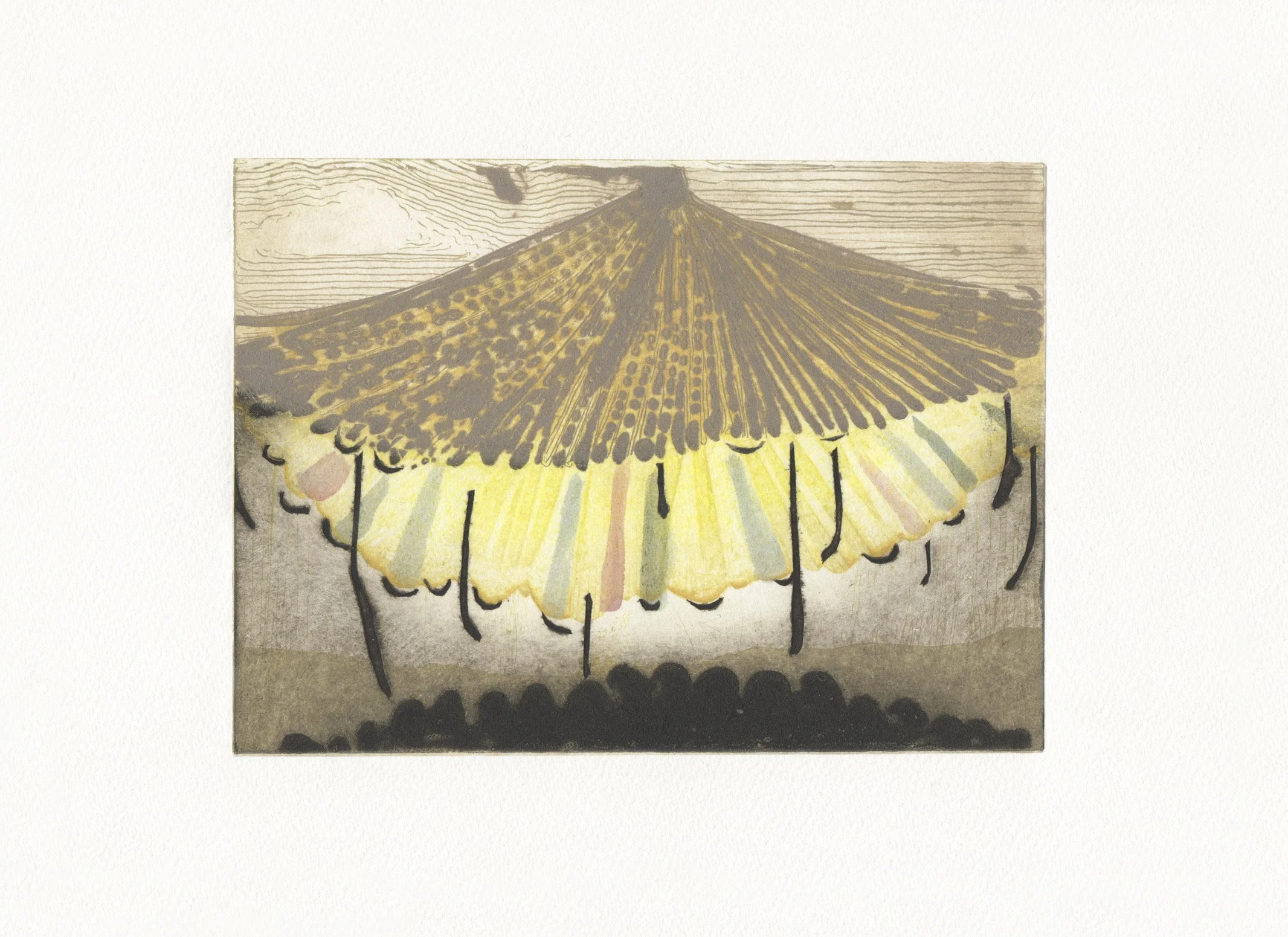 Vanilla Marigold ed.25
collagraph and block-print 
image size: 24 x 18cm
paper size: 40 x 33cm
£575.00 unframed £725.00