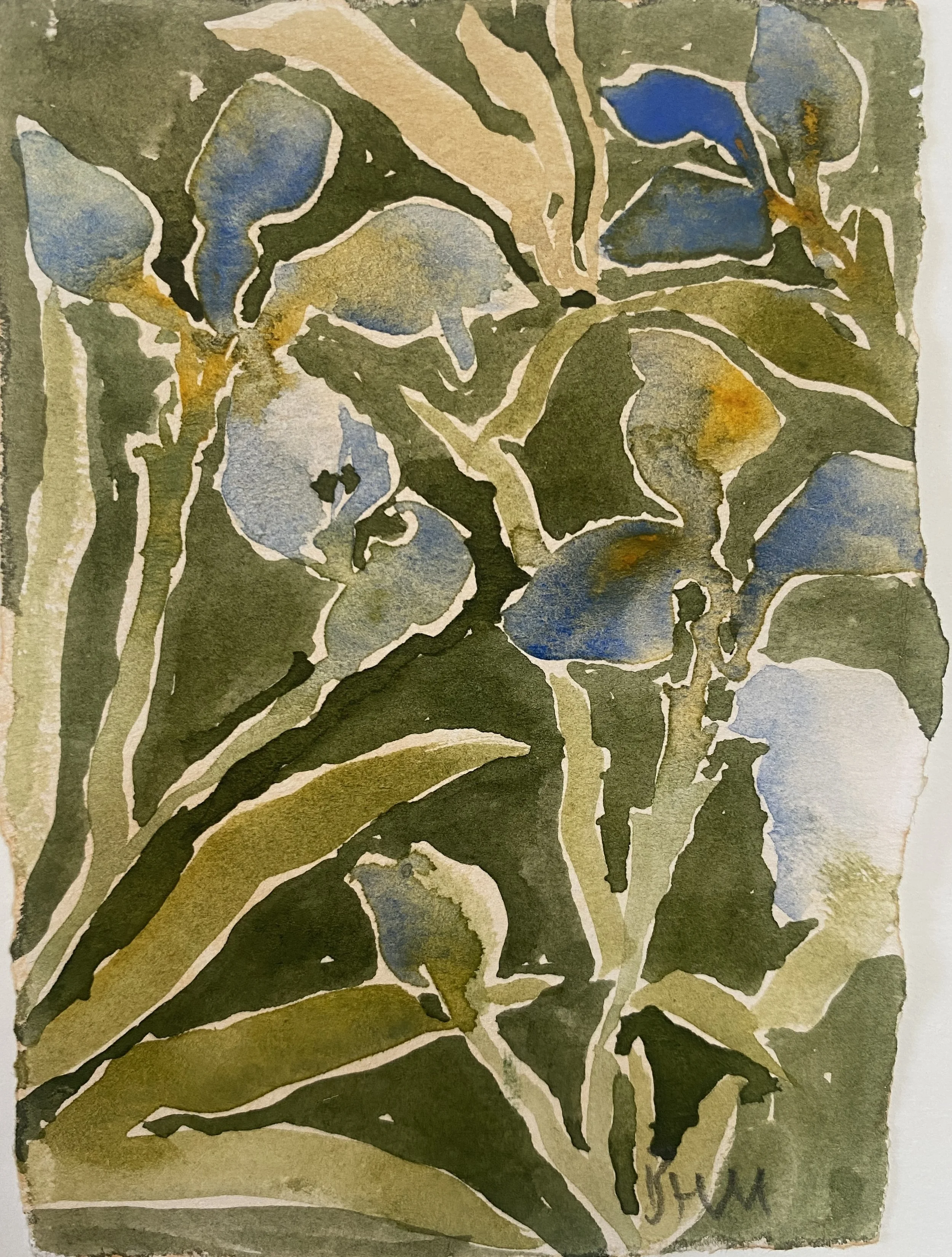 Blue Iris I, 2026, watercolour on paper, 7 x 10cm, unframed, £.jpg