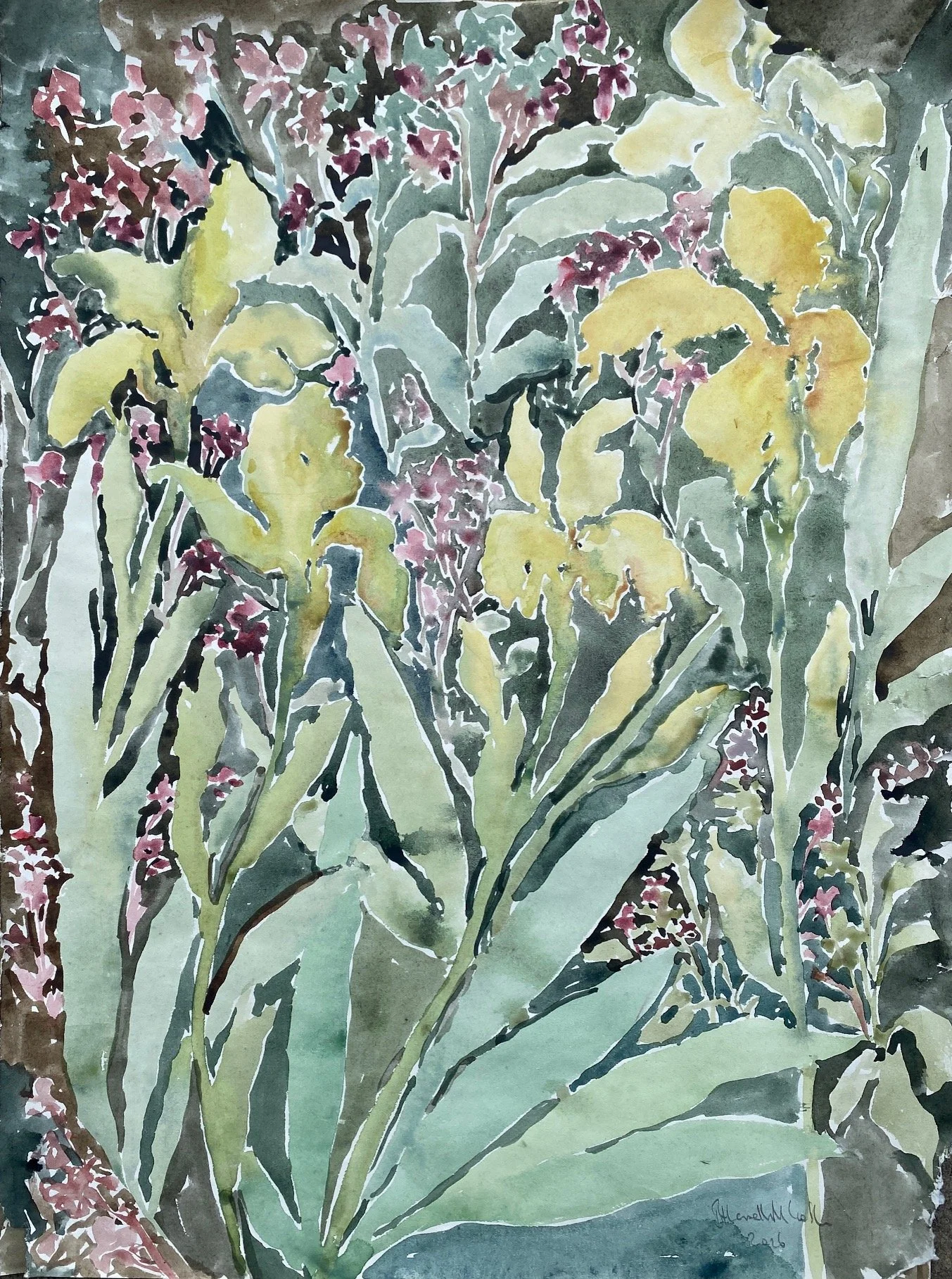 Beatrice Hasell-McCosh 
Iris 
2026 
watercolour on paper 
56 x40cm 
£1750 framed
