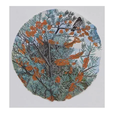 Sophie Charalambous - Small Buckthorn Spool