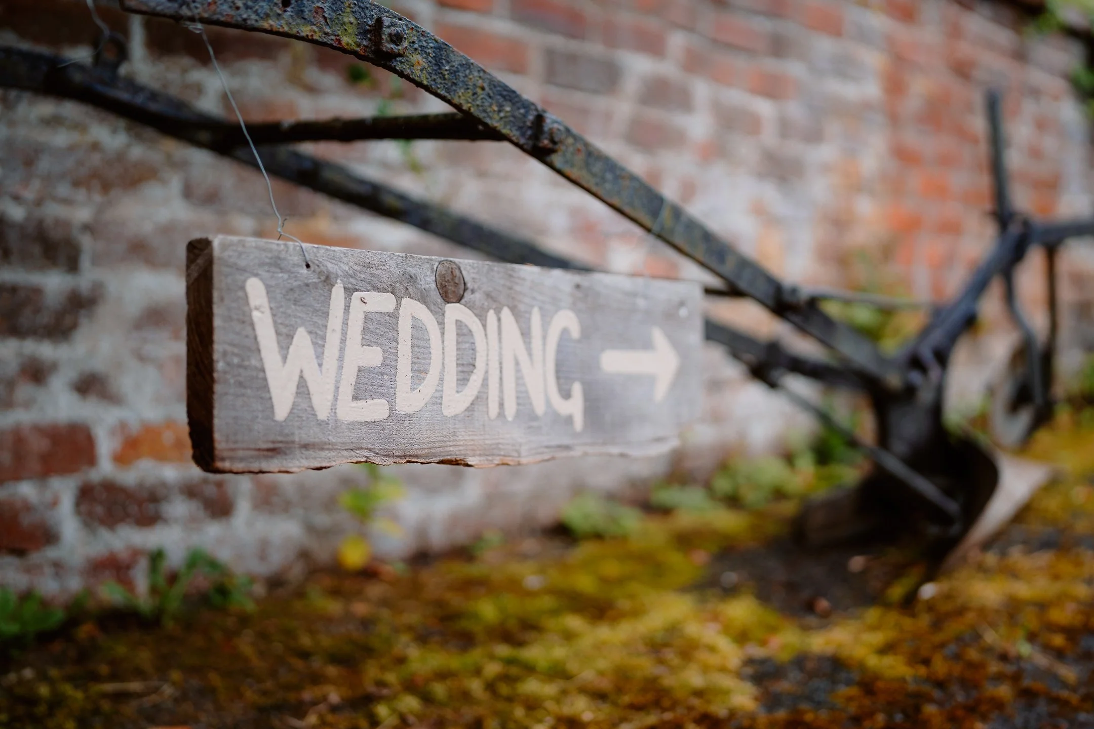 Ella & Chris - Bromwich park - LR --11.jpg