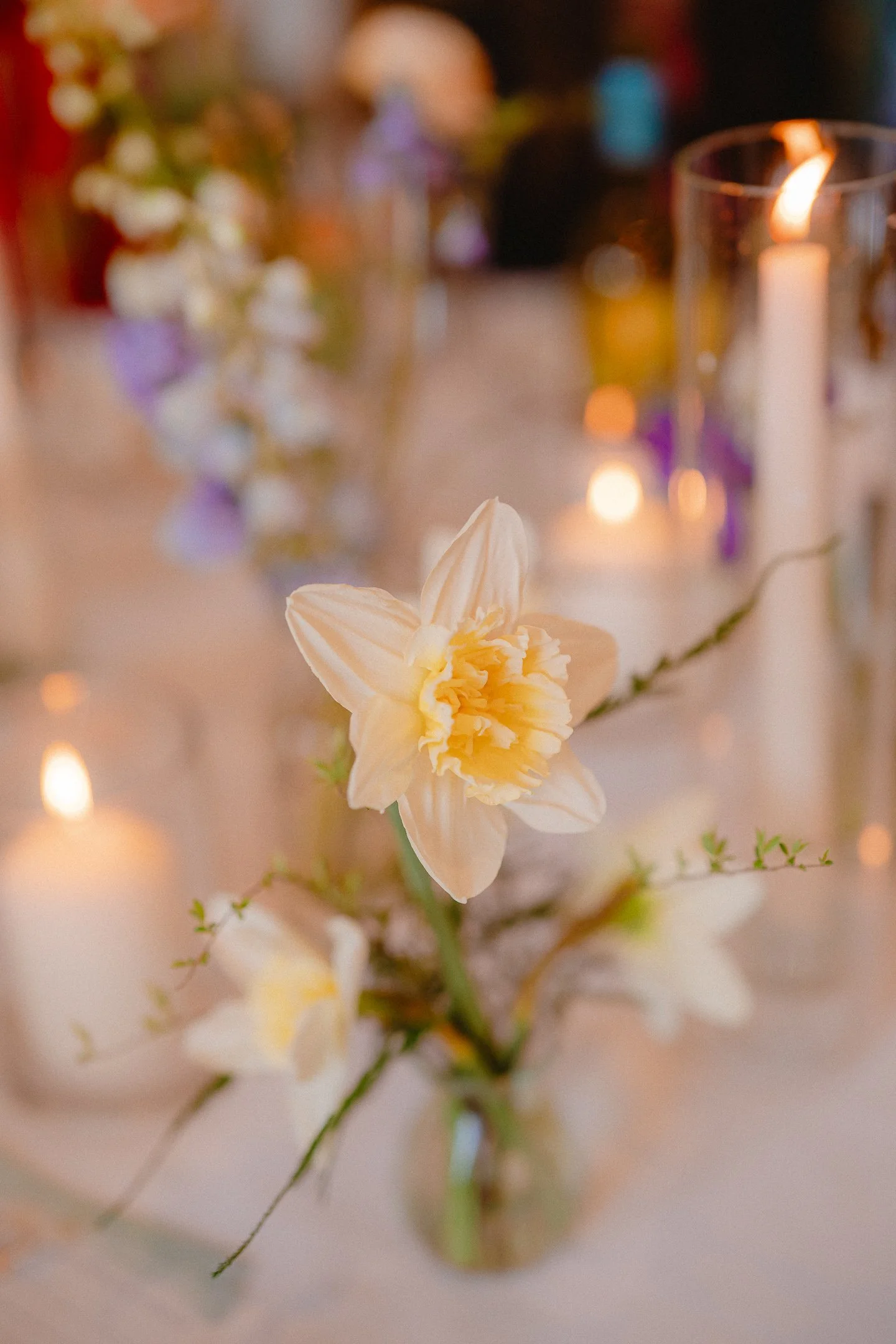 Mary-and-Sean-Stubton-Hall [96dpi]-446.JPG