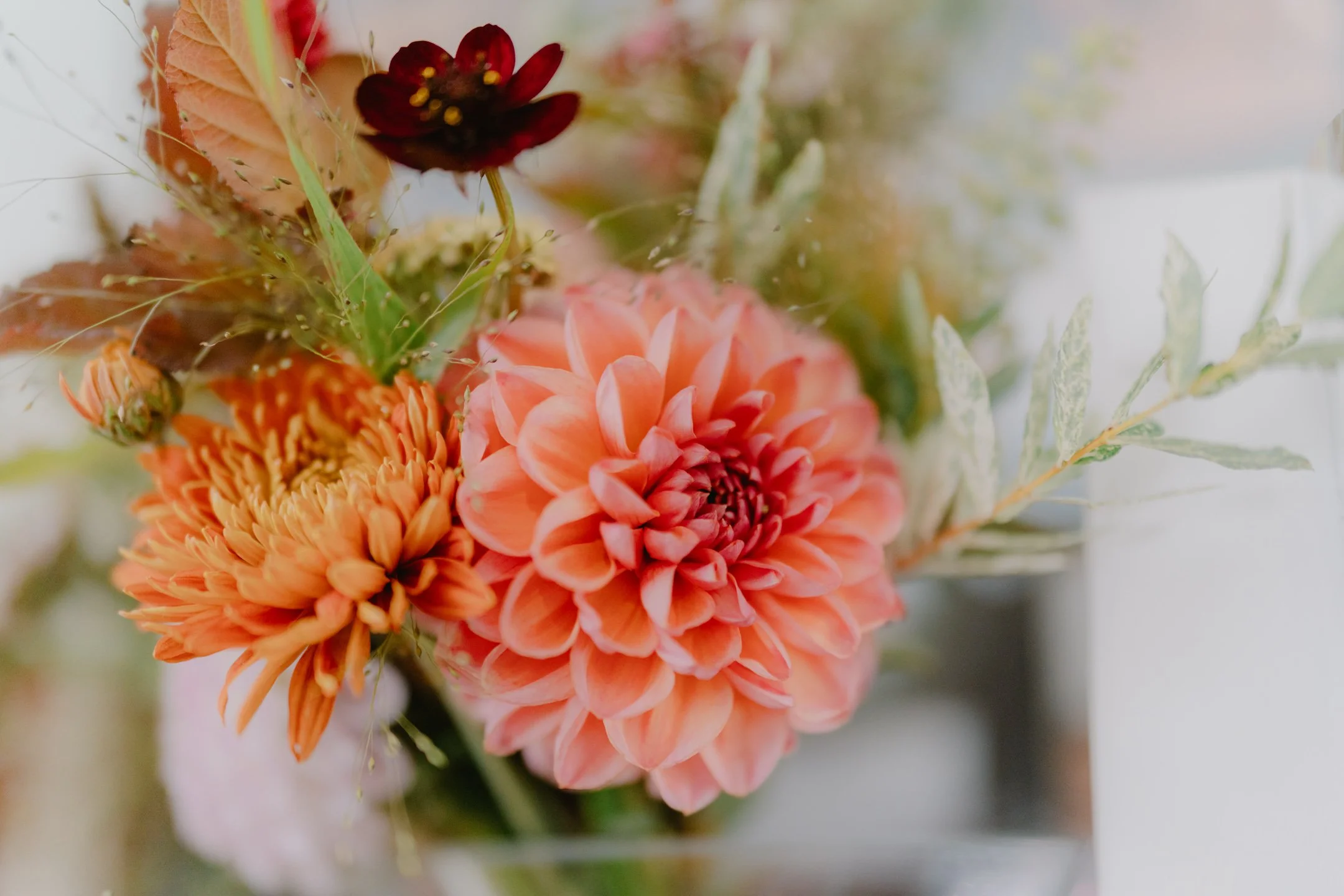 Katy and Mark - The Adelphi - Oct 2025 --1.JPG