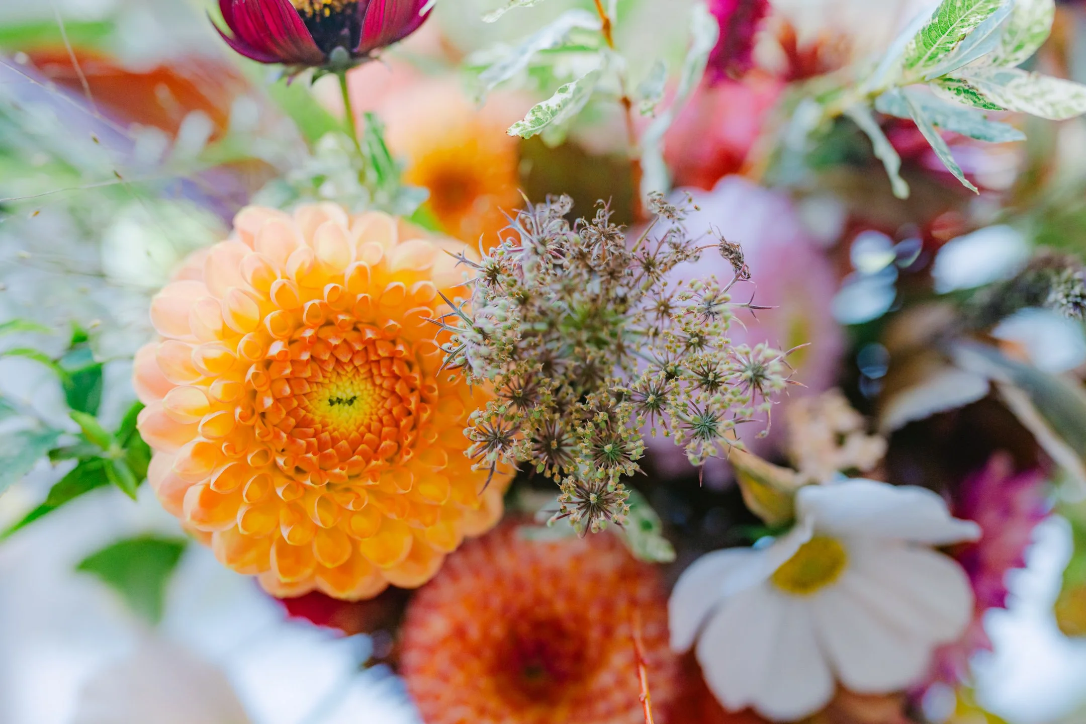 Katy and Mark - The Adelphi - Oct 2025 --82.JPG