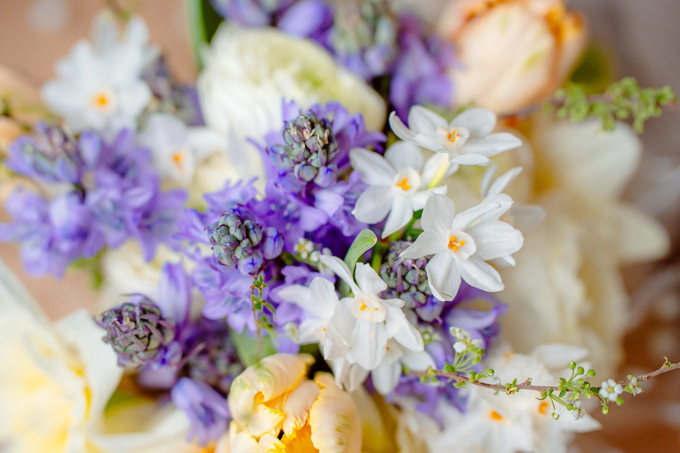 Mary-and-Sean-Stubton-Hall [96dpi]-50.JPG