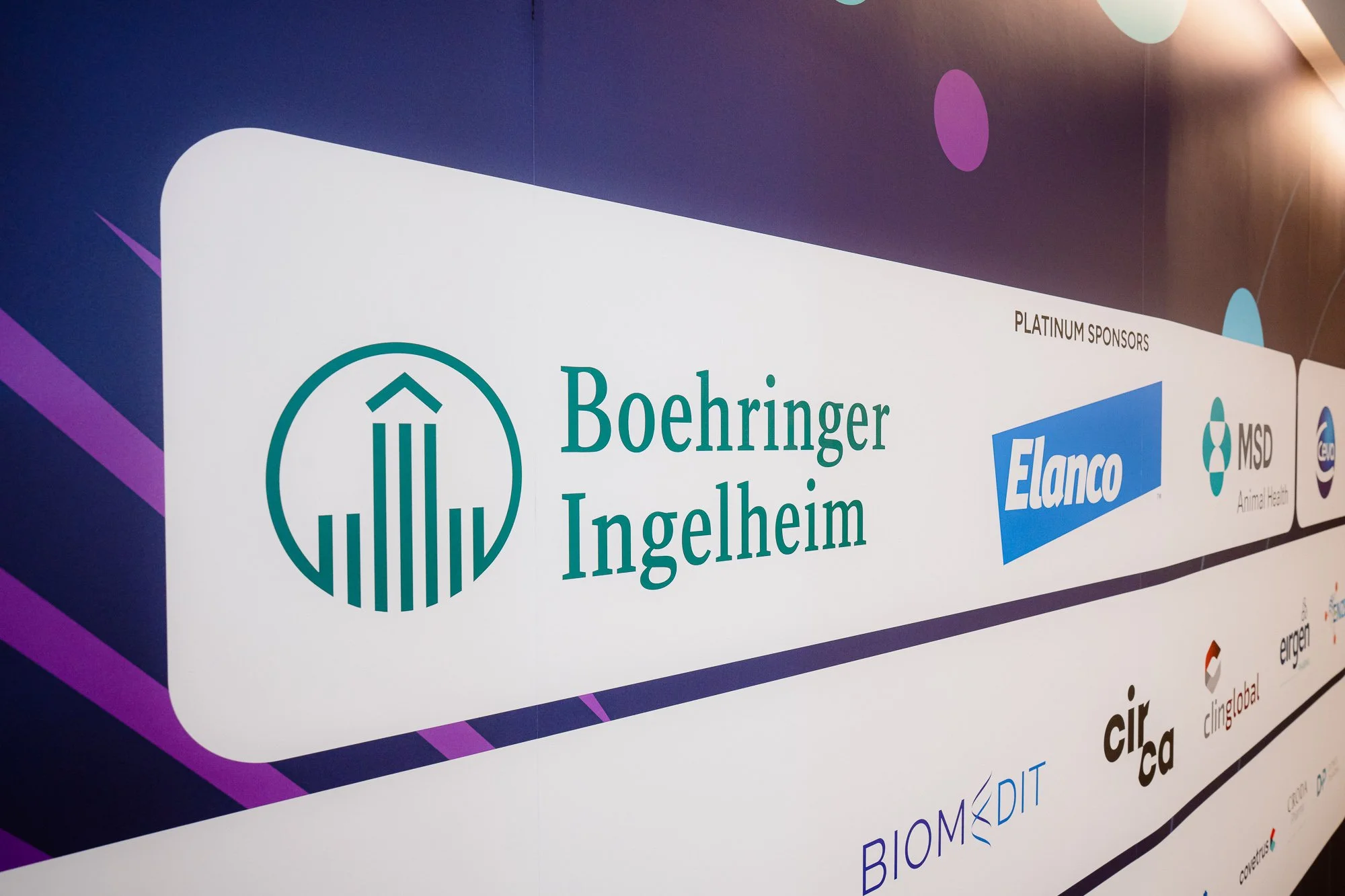 AHNTI-EU-2026-[Web-96dpi] -1083.JPG