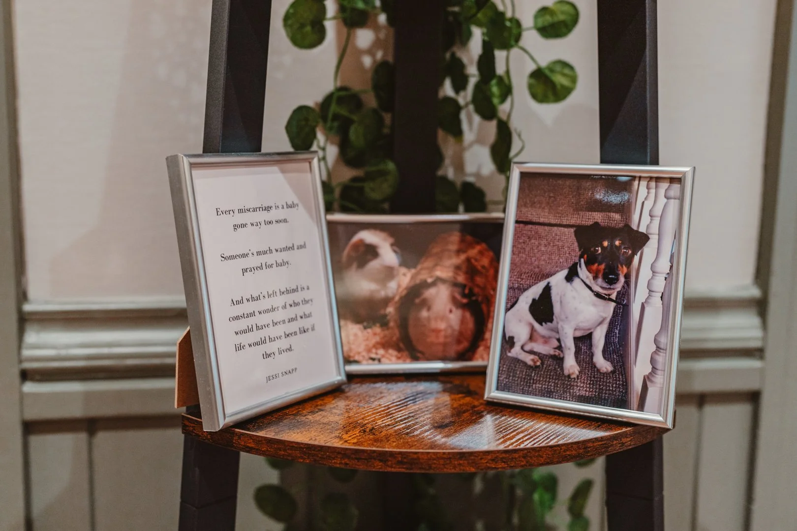 Chantel & Alex - Jun 22 24 --249.jpg