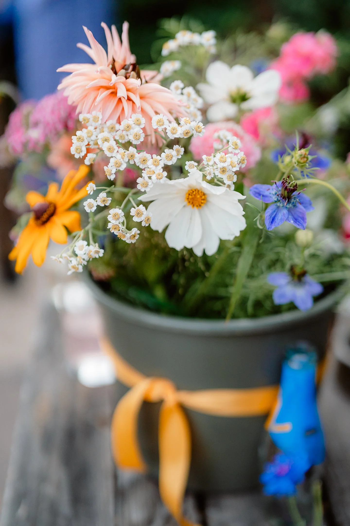 Ella & Chris - Bromwich park - LR --927.jpg