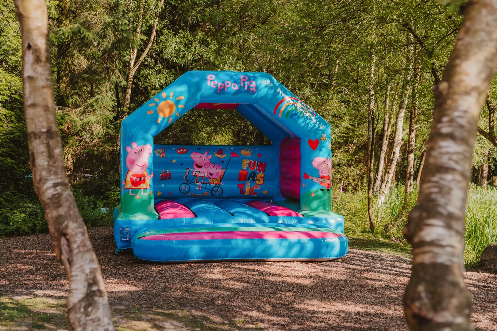 Chantel & Alex - Jun 22 24 --277.jpg