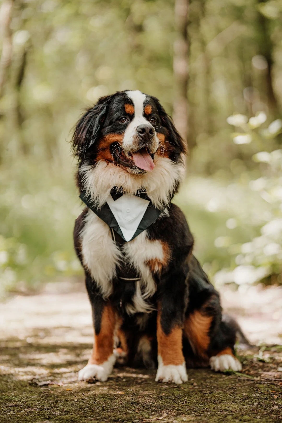 Chantel & Alex - Jun 22 24 --22.jpg