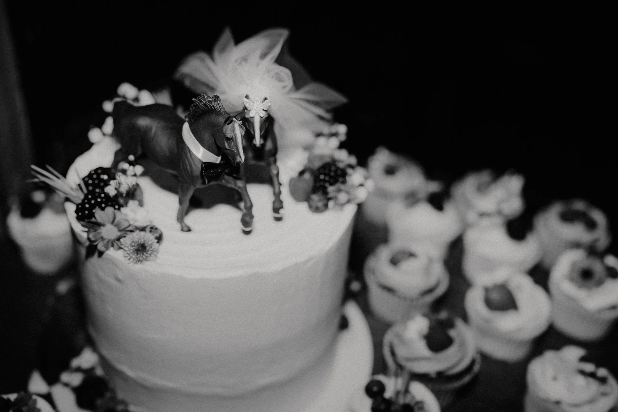 Katy and Mark - The Adelphi - Oct 2025 --1.JPG