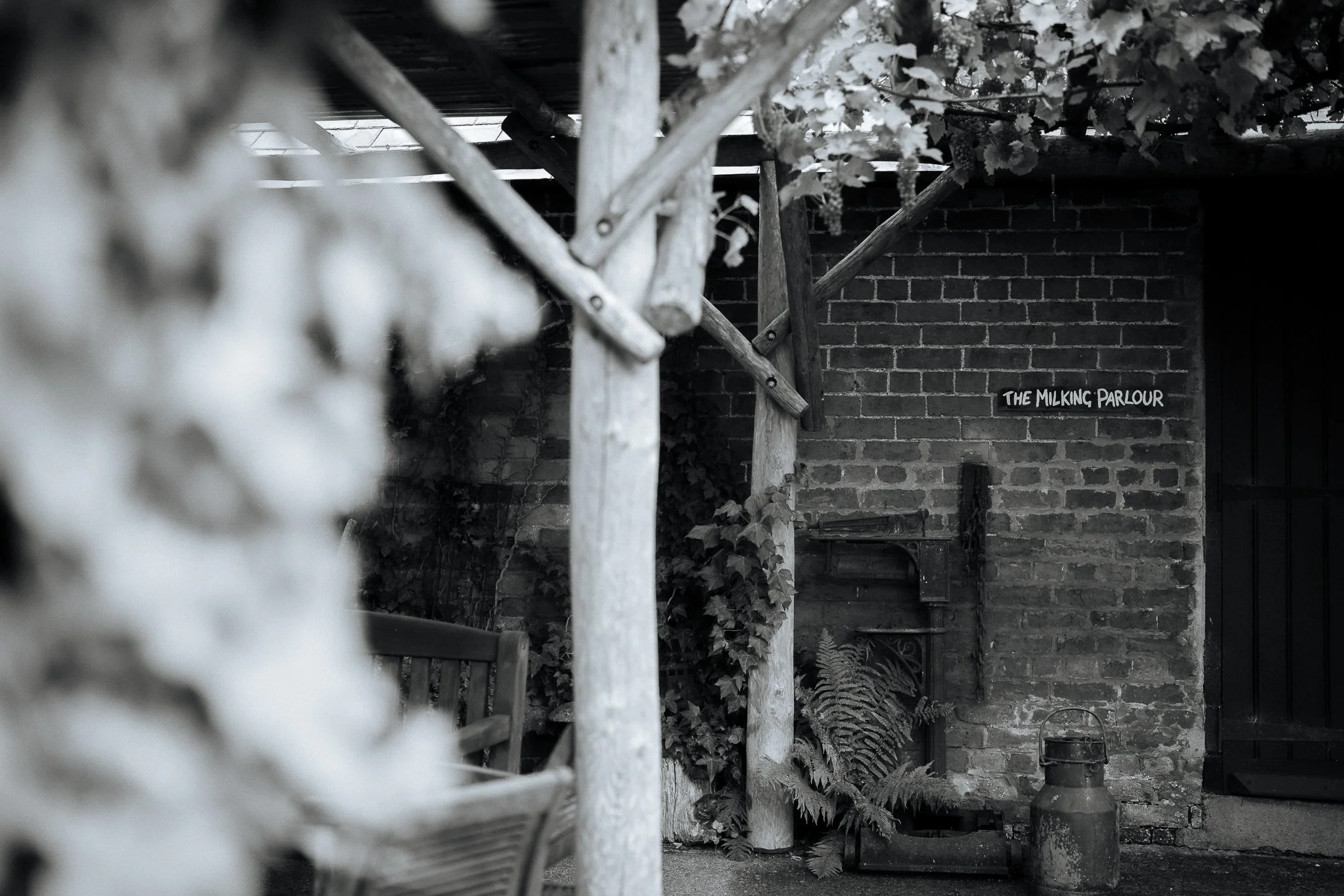 Ella & Chris - Bromwich park - LR --36.jpg
