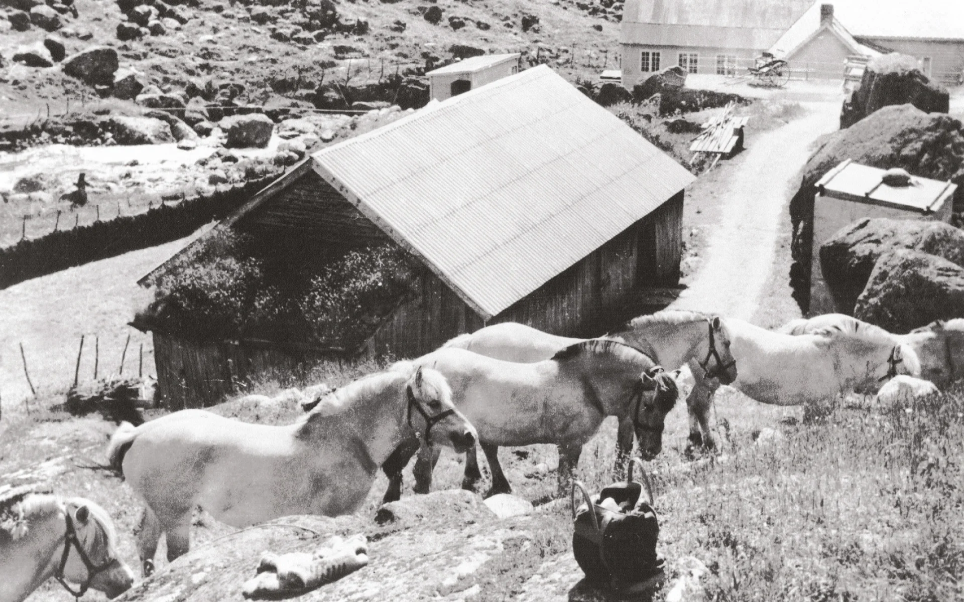 從咖啡館到聚會場所：布里克斯達爾的135年