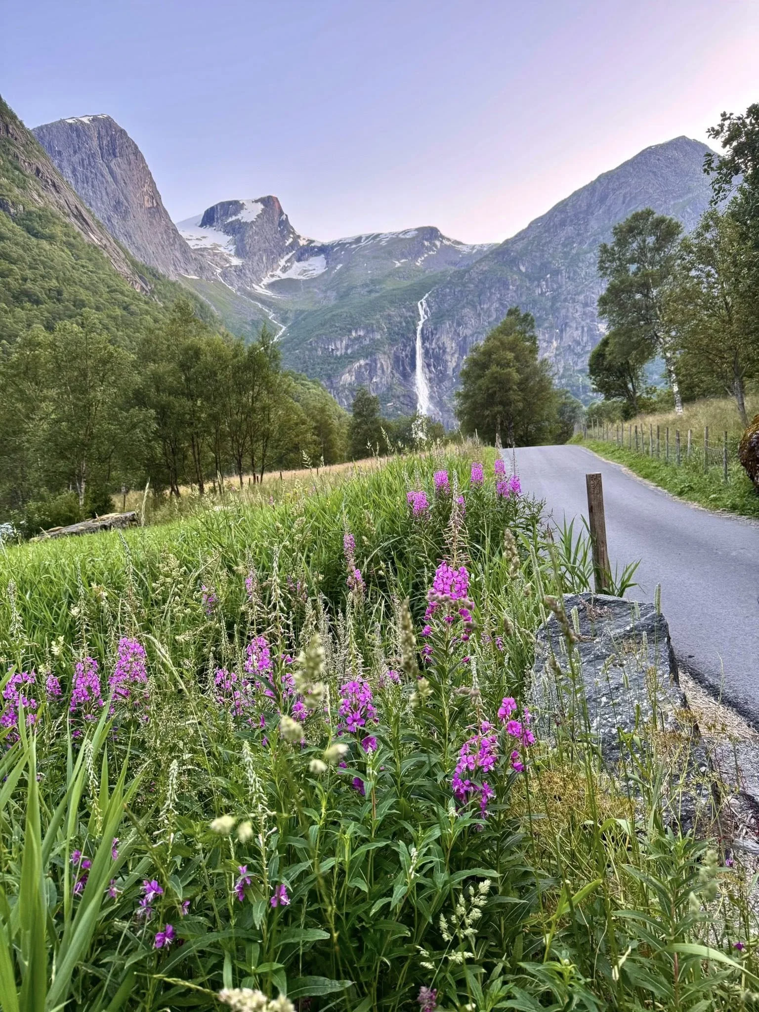 融化的水在夏季保護著嬌嫩的嫩芽。