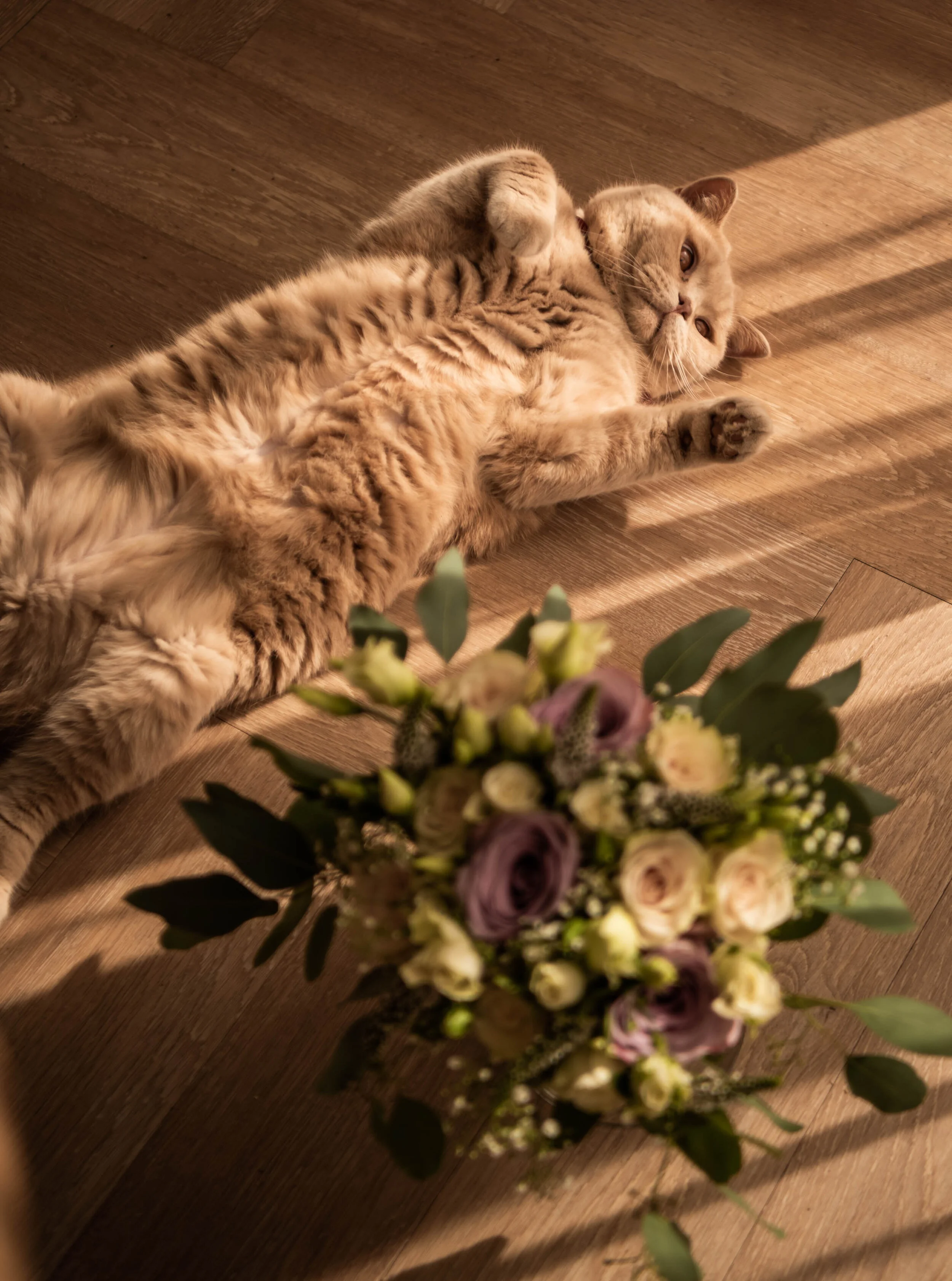 1.SimoneFrank-Wedding-Mark&Veerle.jpg