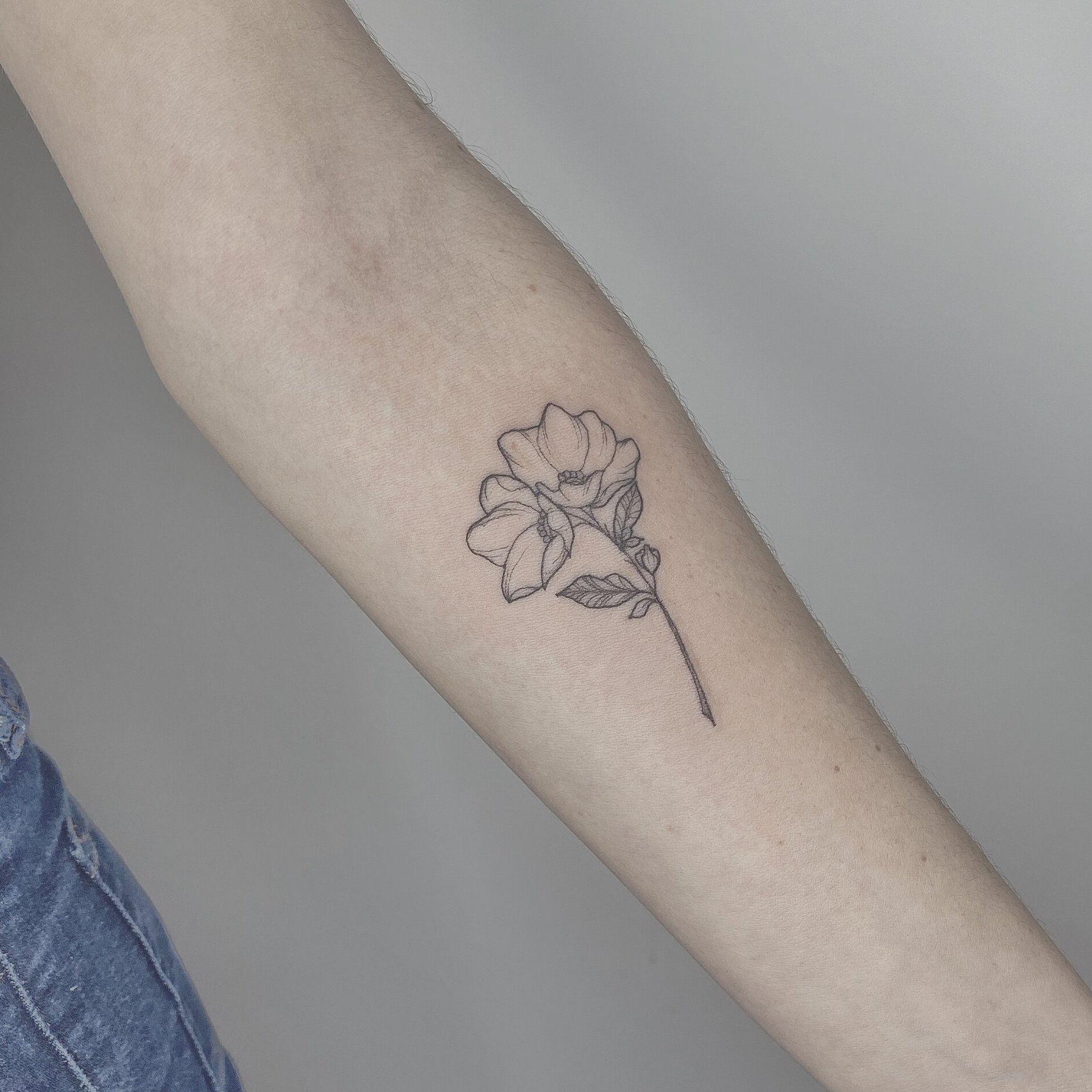 College Hill Tattoo - Fine line flowers done by @mikeshawtattoos! . . . # tattoo #tattoos #tattooflash #tattoodesign #flower #flowertattoo #fineline  #finelinetattoo #girltattoo #tattoosforgirls #totd #besttattoos  #dotshadingtattoo #auckland ...