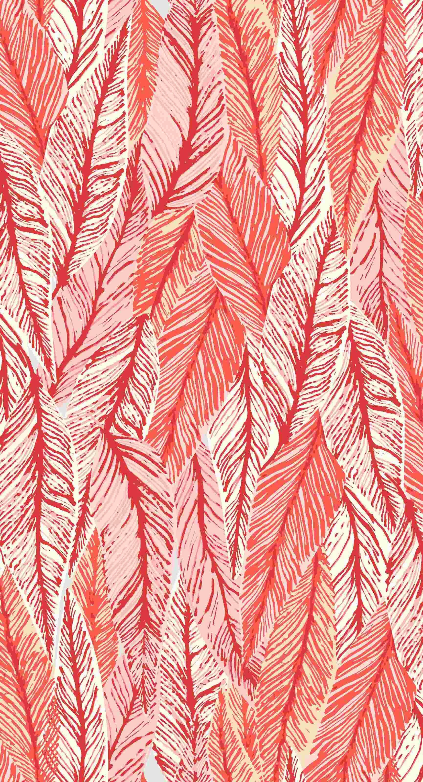 feathers1aCORRECTSCALE.JPG