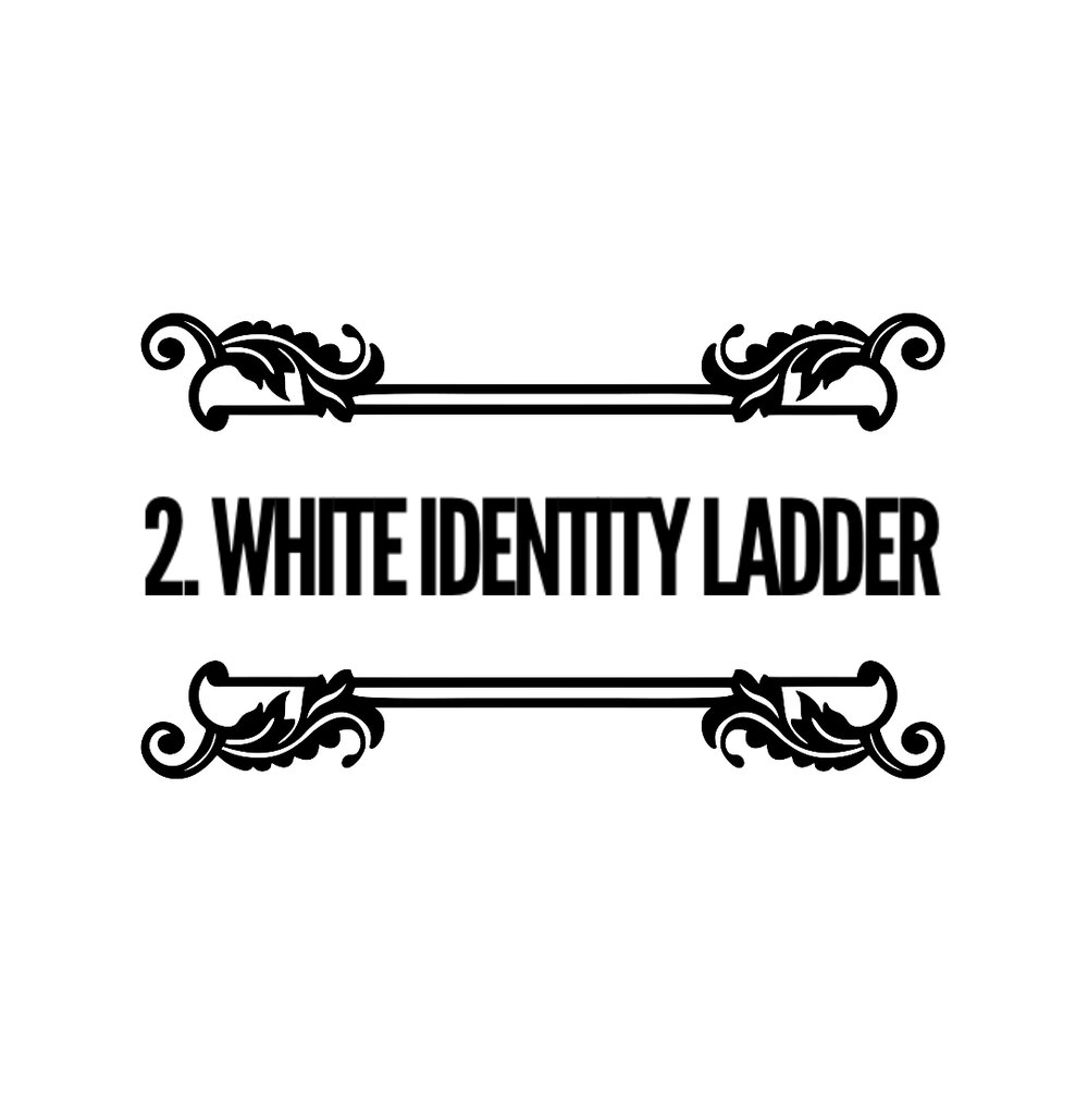 2. White Identity Ladder: From White Racist to White Anti-Racist