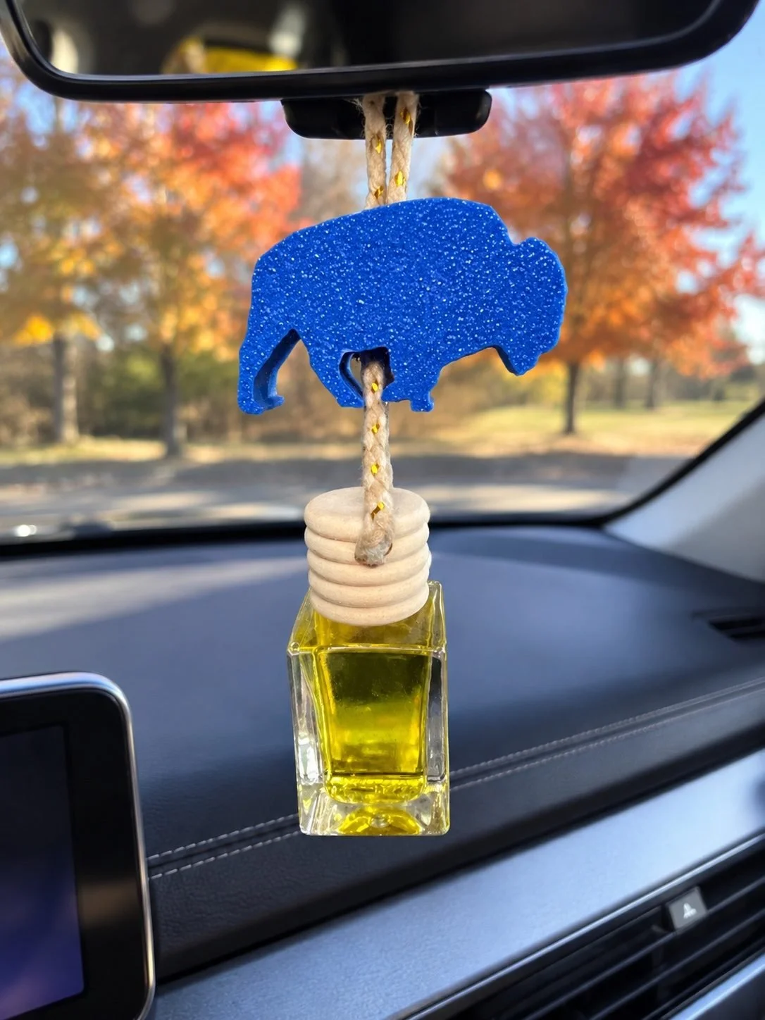 buffalo-diffuser-car.jpg