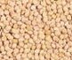 French (White) Millet