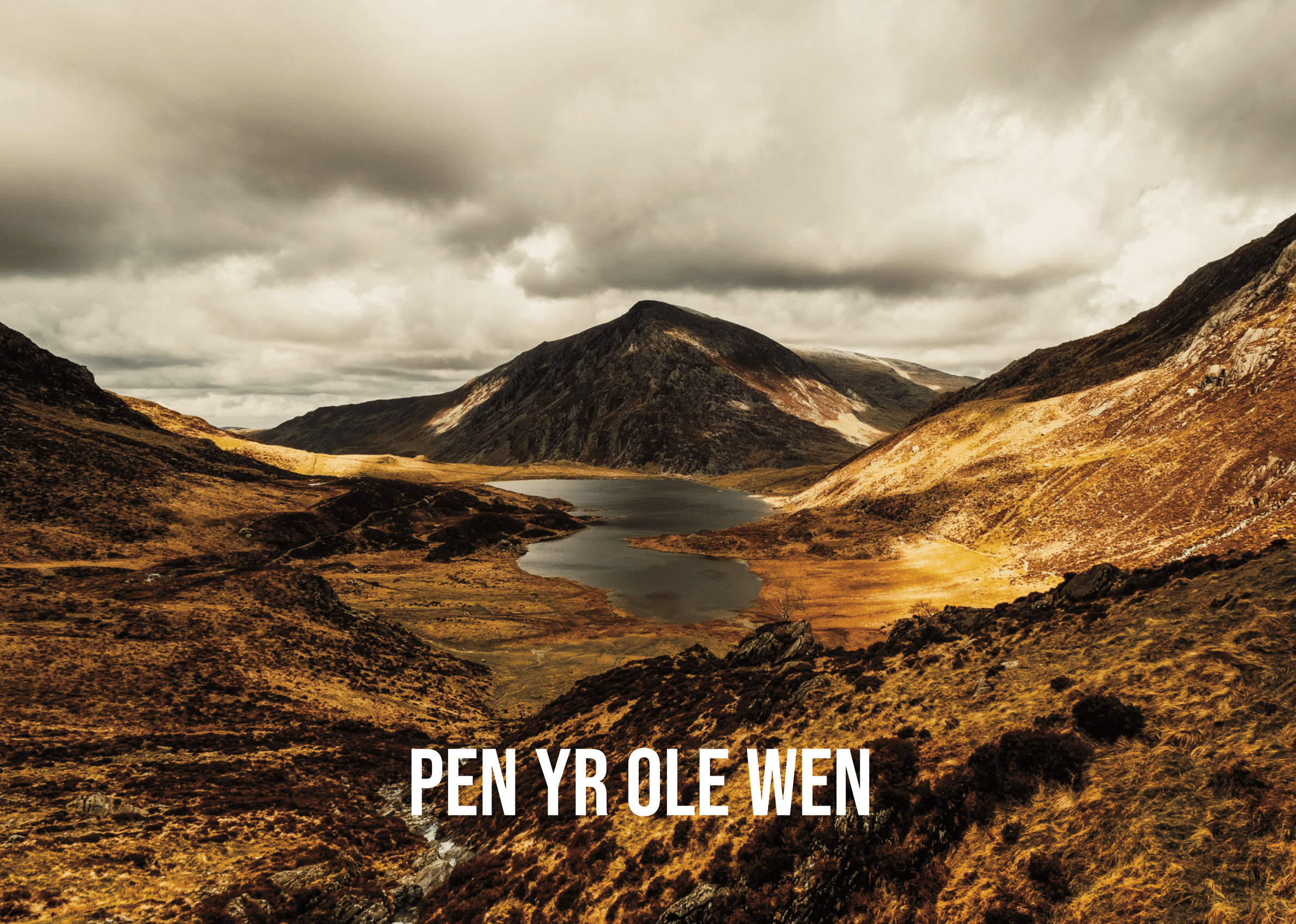 calendar 2026 website-12.png