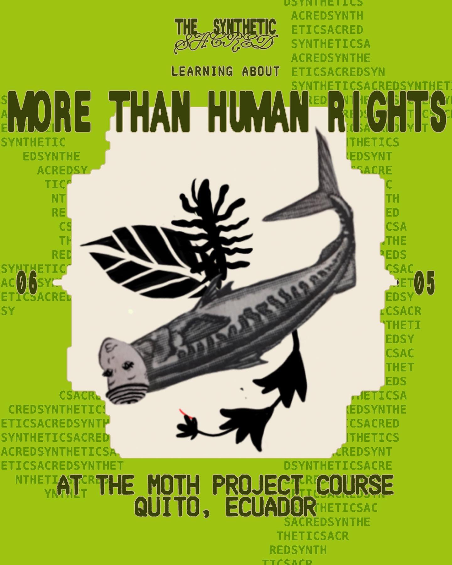 I&rsquo;m really delighted to be be deepening my knowledge and practical understanding of More-Than-Human Rights (MOTH) through participating in the MOTH Project course this week in Quito, Ecuador.

MOTH is part of a growing movement bringing togethe