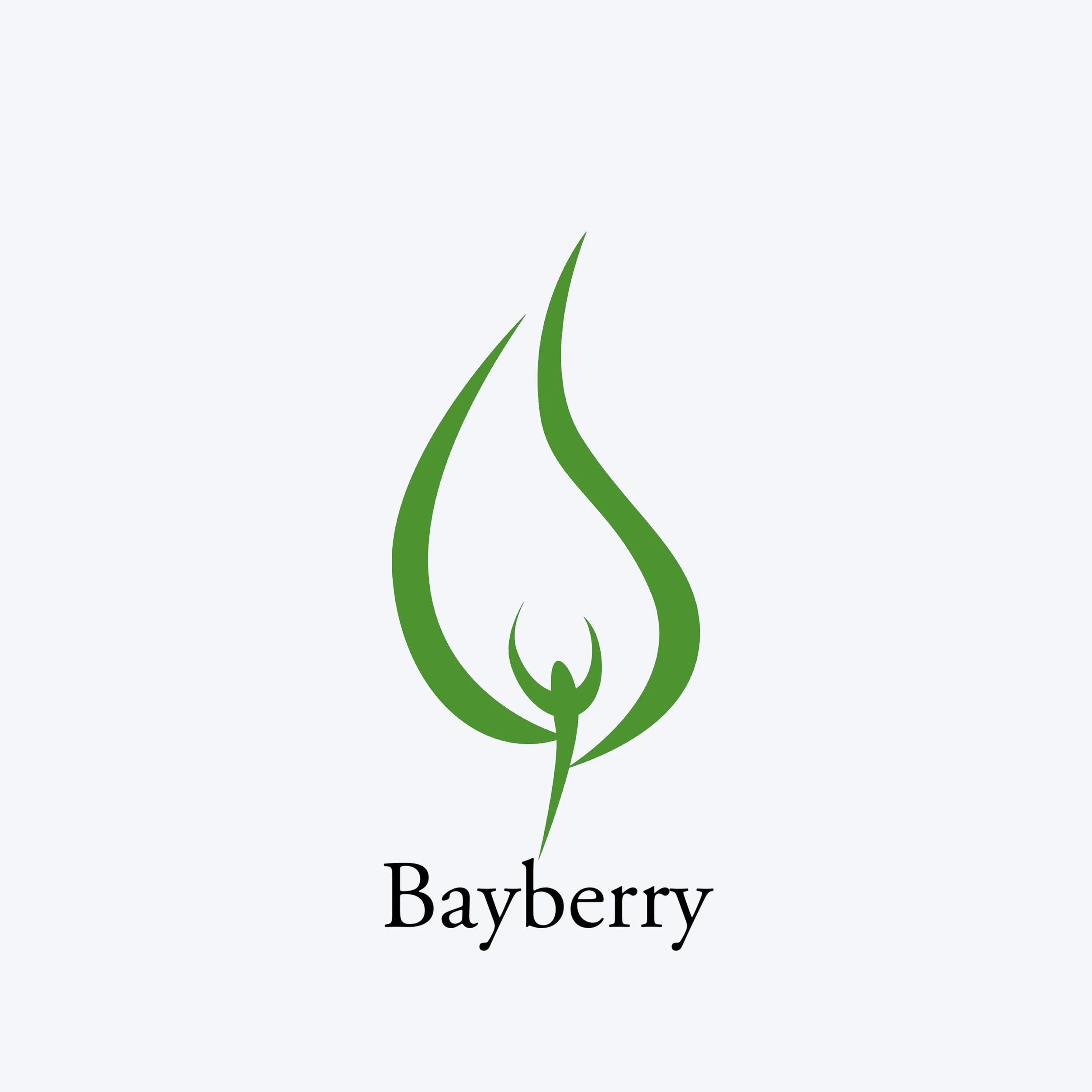 classic bayberry holiday fragrance 5bandco