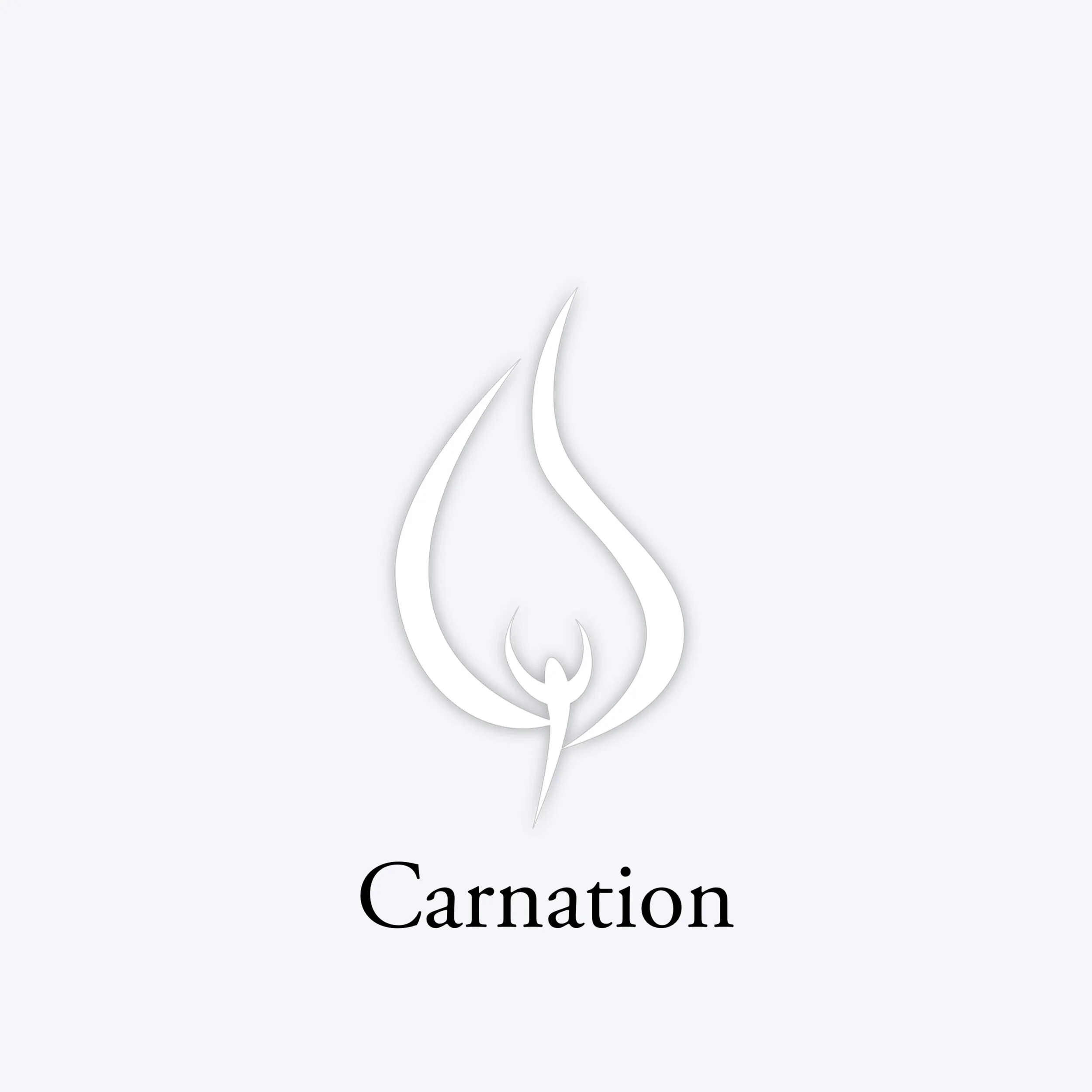 carnation candle smells just like flower