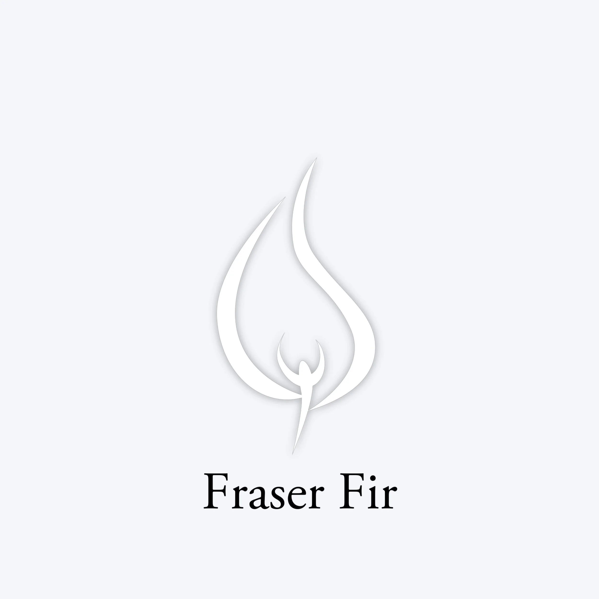 fraser fir christmas tree scent candle room spray by marsha flowers 5bandco candlemakers leavenworth ks