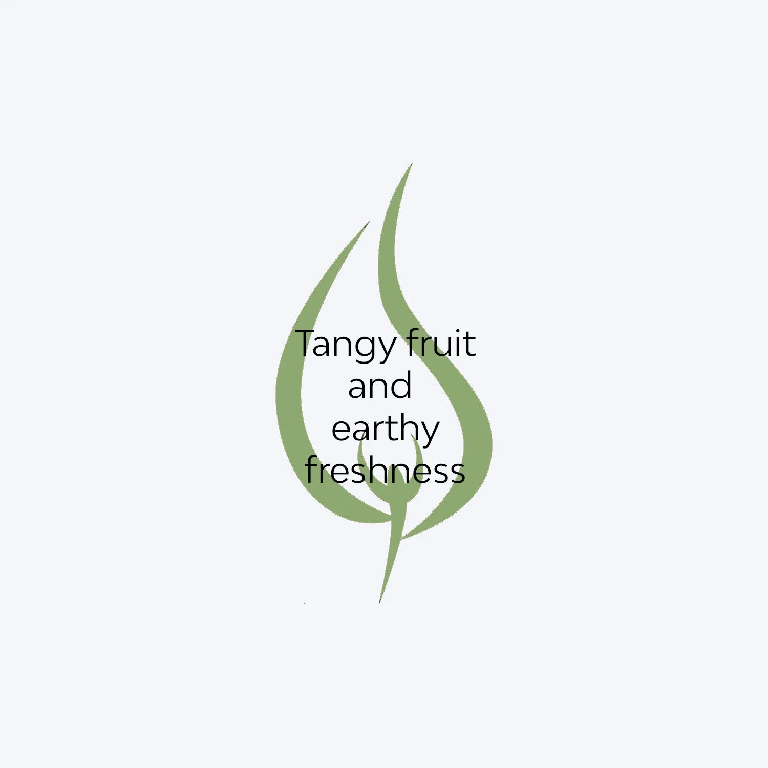 Candle+Flame+Description - Green Fig.jpg