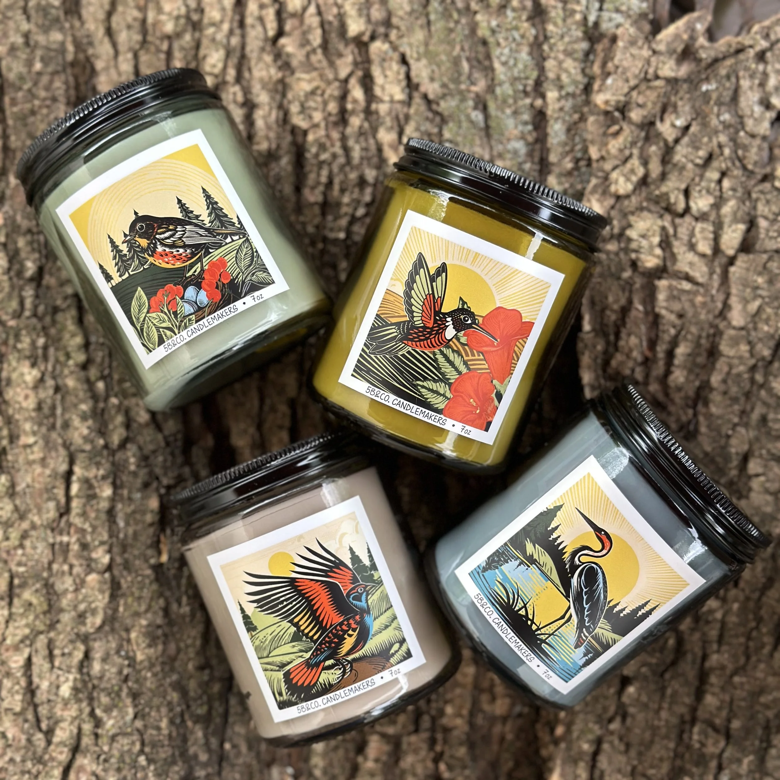 Inspired by the Wild