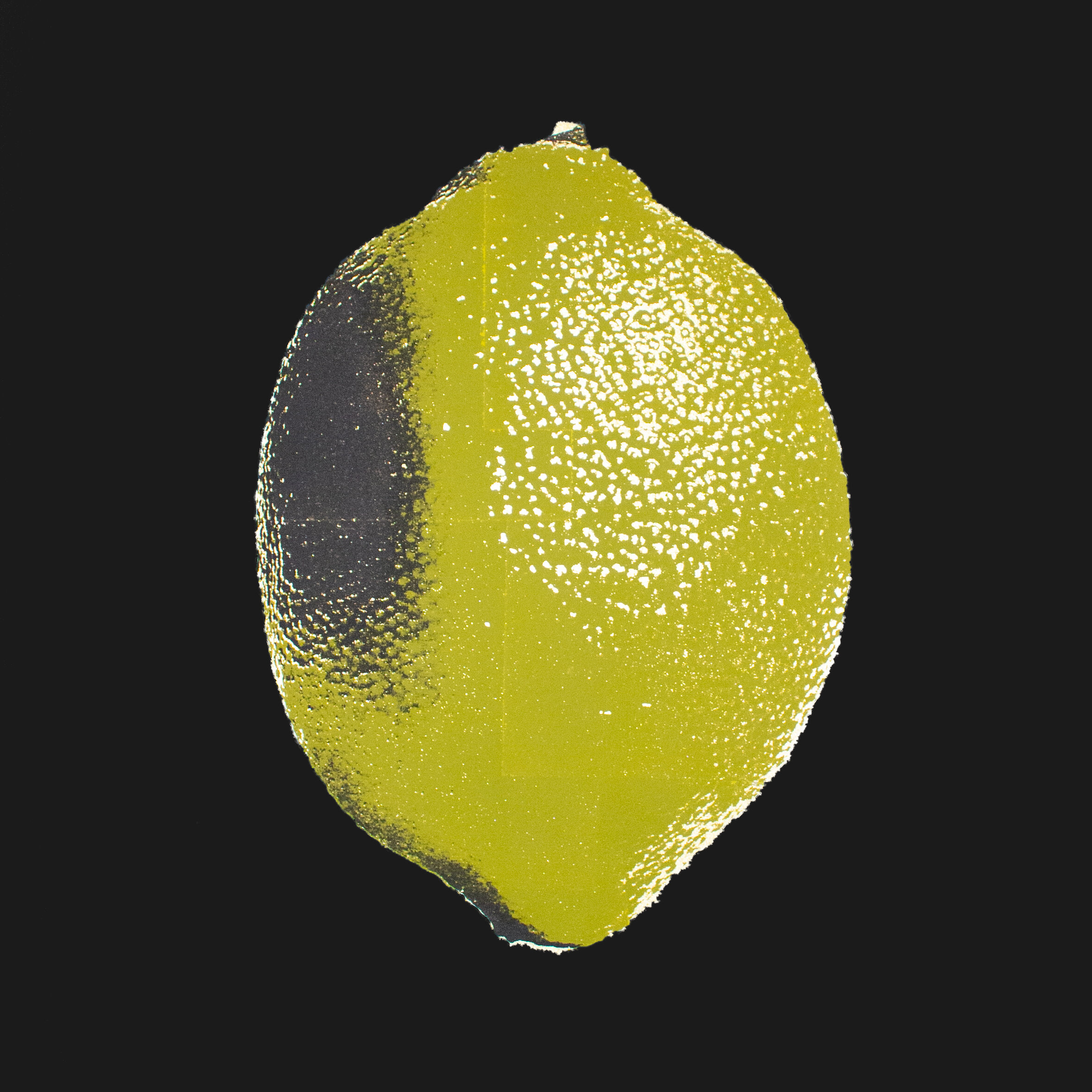 lemon-on-blk.jpg